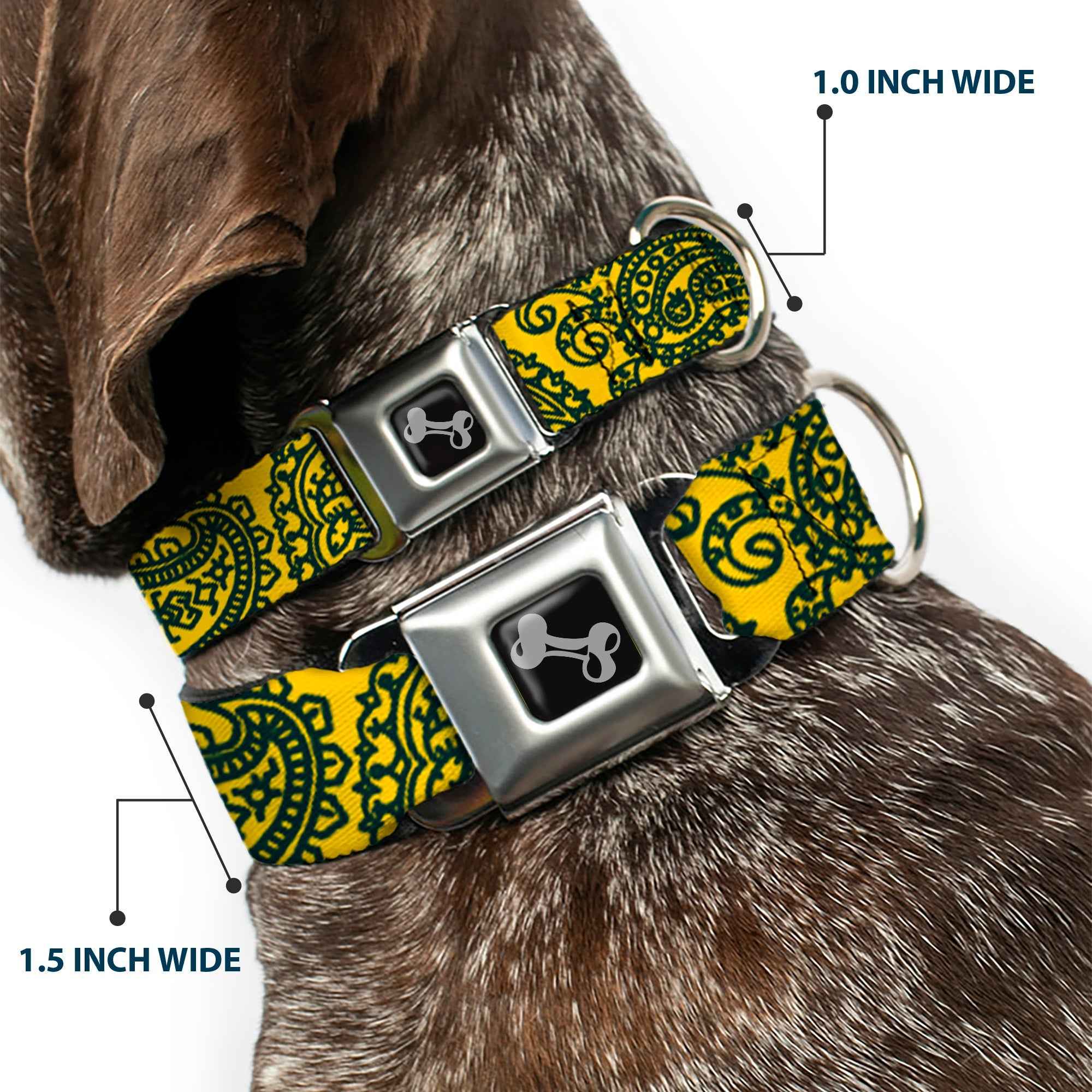 Buckle-Down Bandana/Skulls Gold/Green Seatbelt Buckle Dog Collar