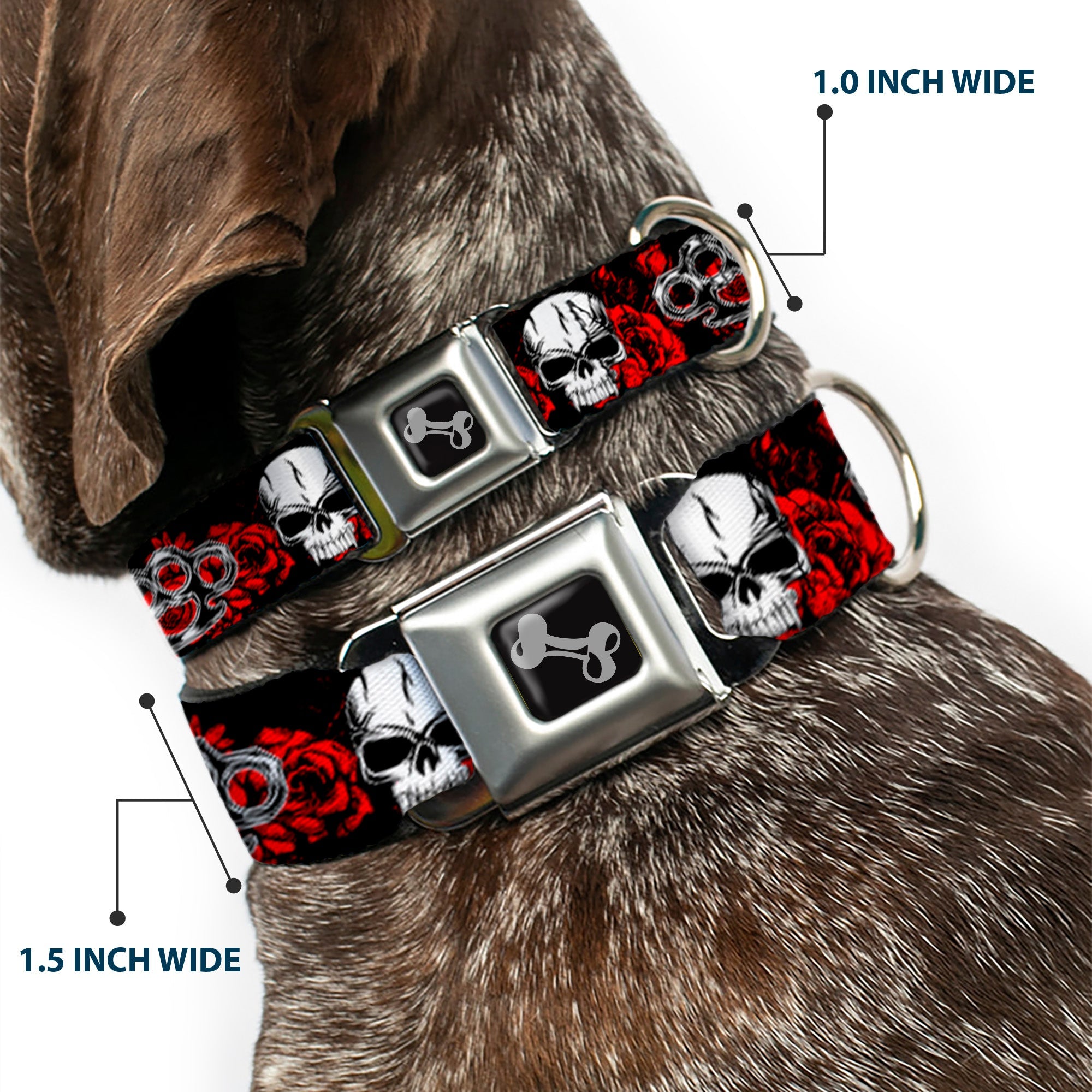 Buckle-Down Seatbelt Buckle Dog Collar - Brass Knuckles/Skulls/Roses Black/Red/White