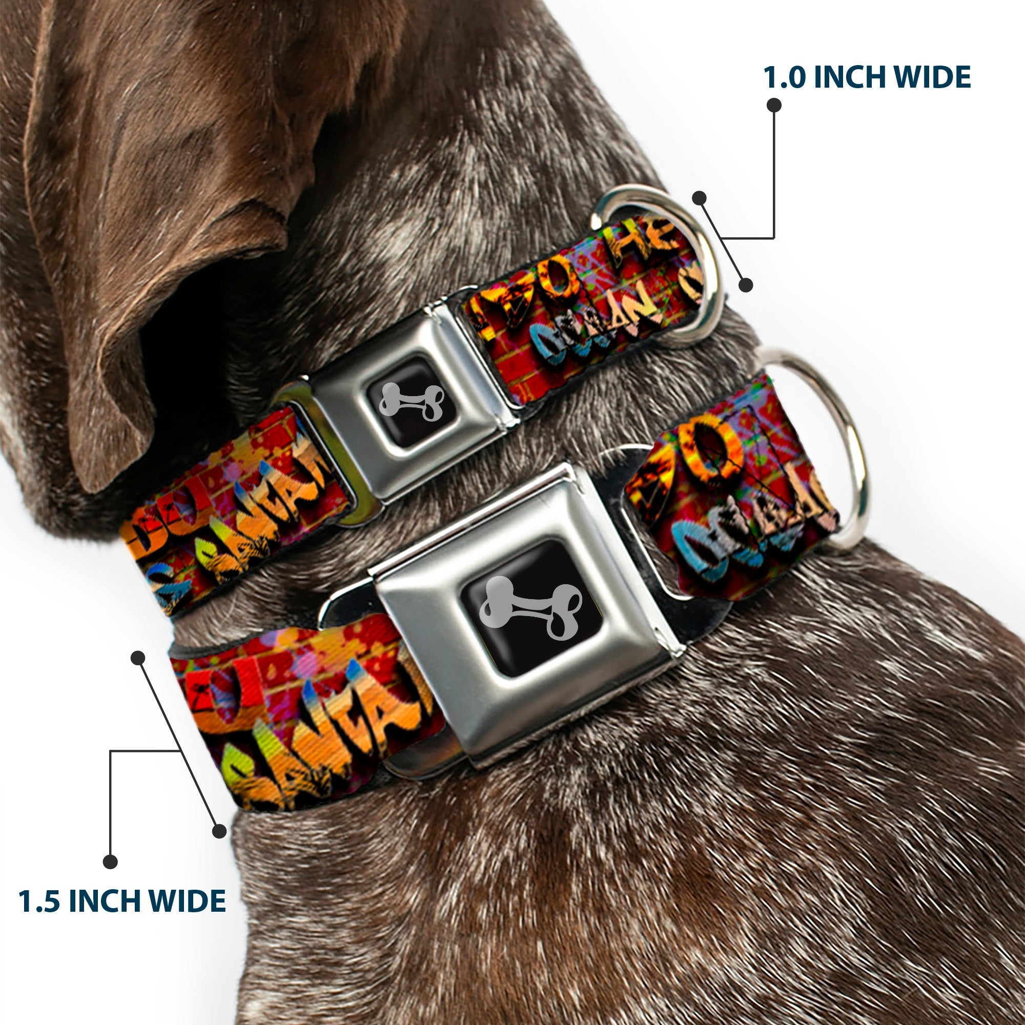 Dog Bone Seatbelt Buckle Collar - Beach Tags/Paint Splatter Brick Wall/Beach Scenes