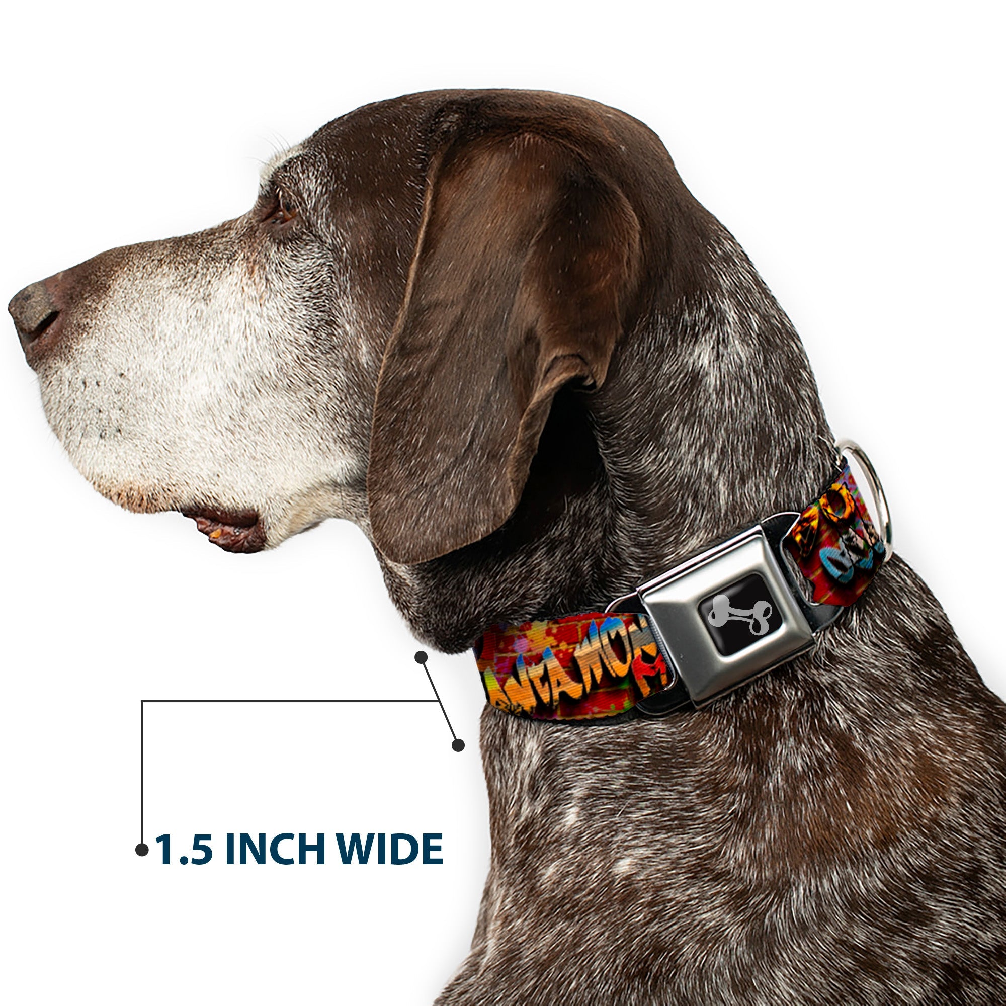 Dog Bone Seatbelt Buckle Collar - Beach Tags/Paint Splatter Brick Wall/Beach Scenes