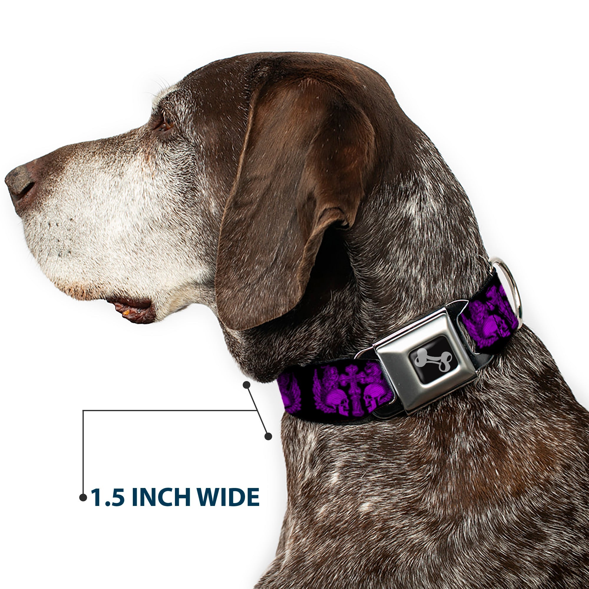 Dog Bone Seatbelt Buckle Collar - BD Skulls w/Wings Black/Purple