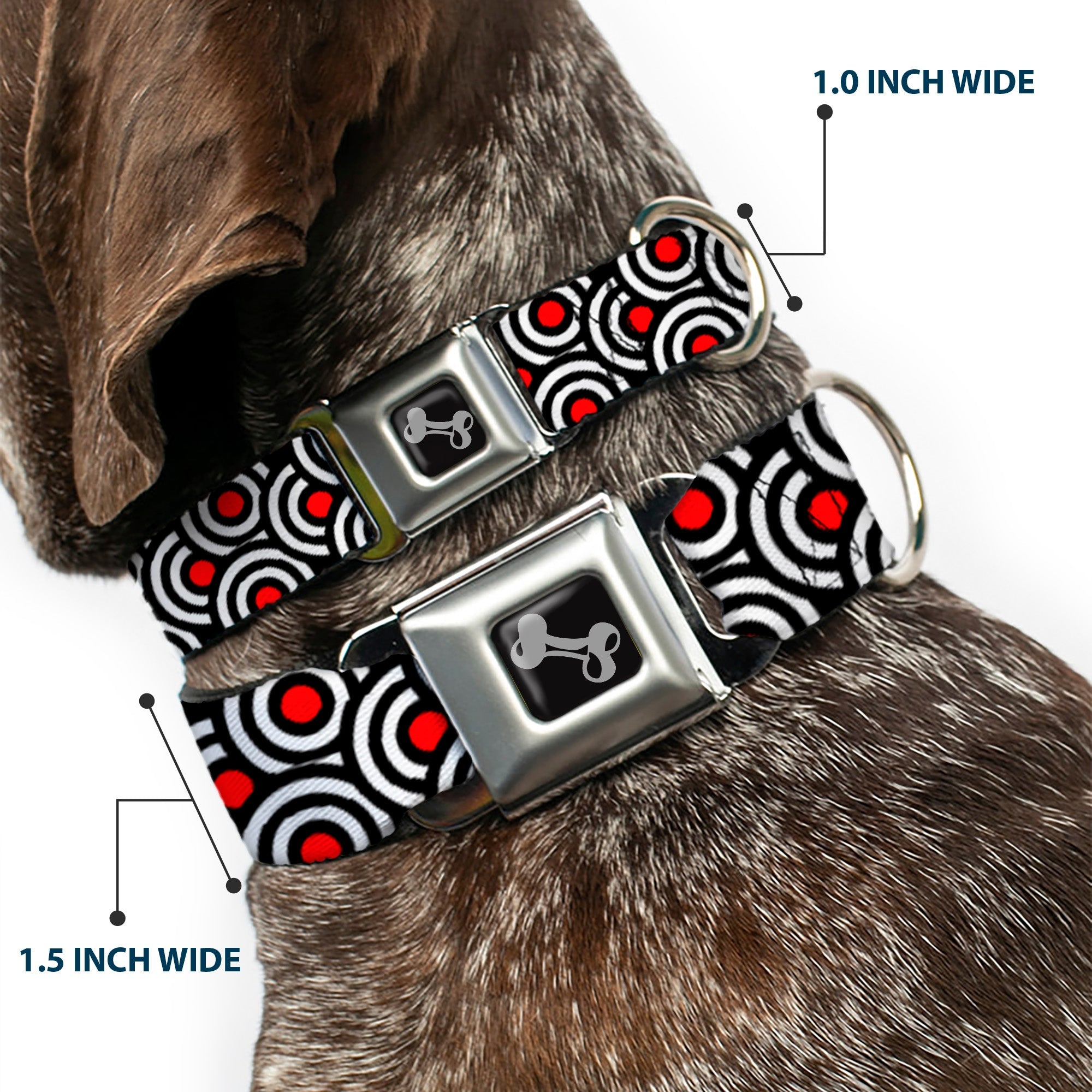 Dog Bone Seatbelt Buckle Collar - Bullseye Stacked Black/White/Red