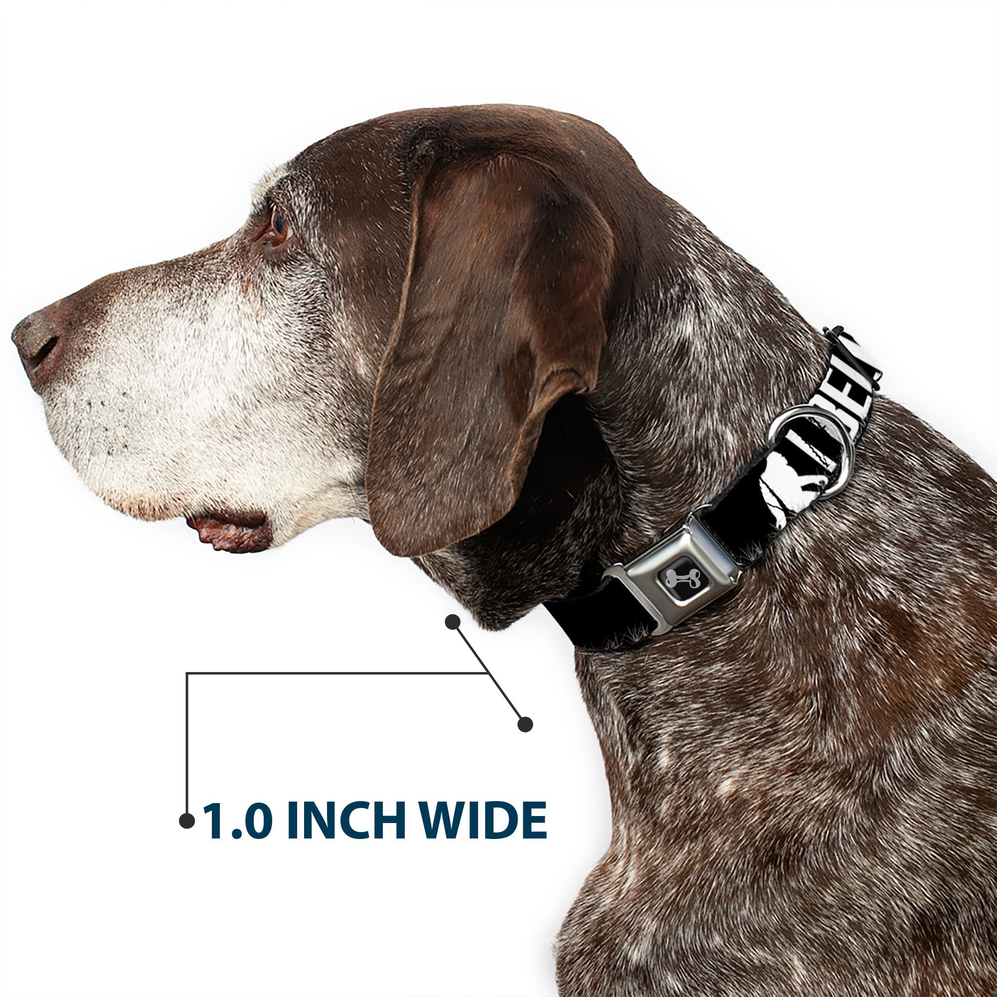 Dog Bone Seatbelt Buckle Collar - Bigfoot Silhouette I BELIEVE Black/Gray/White
