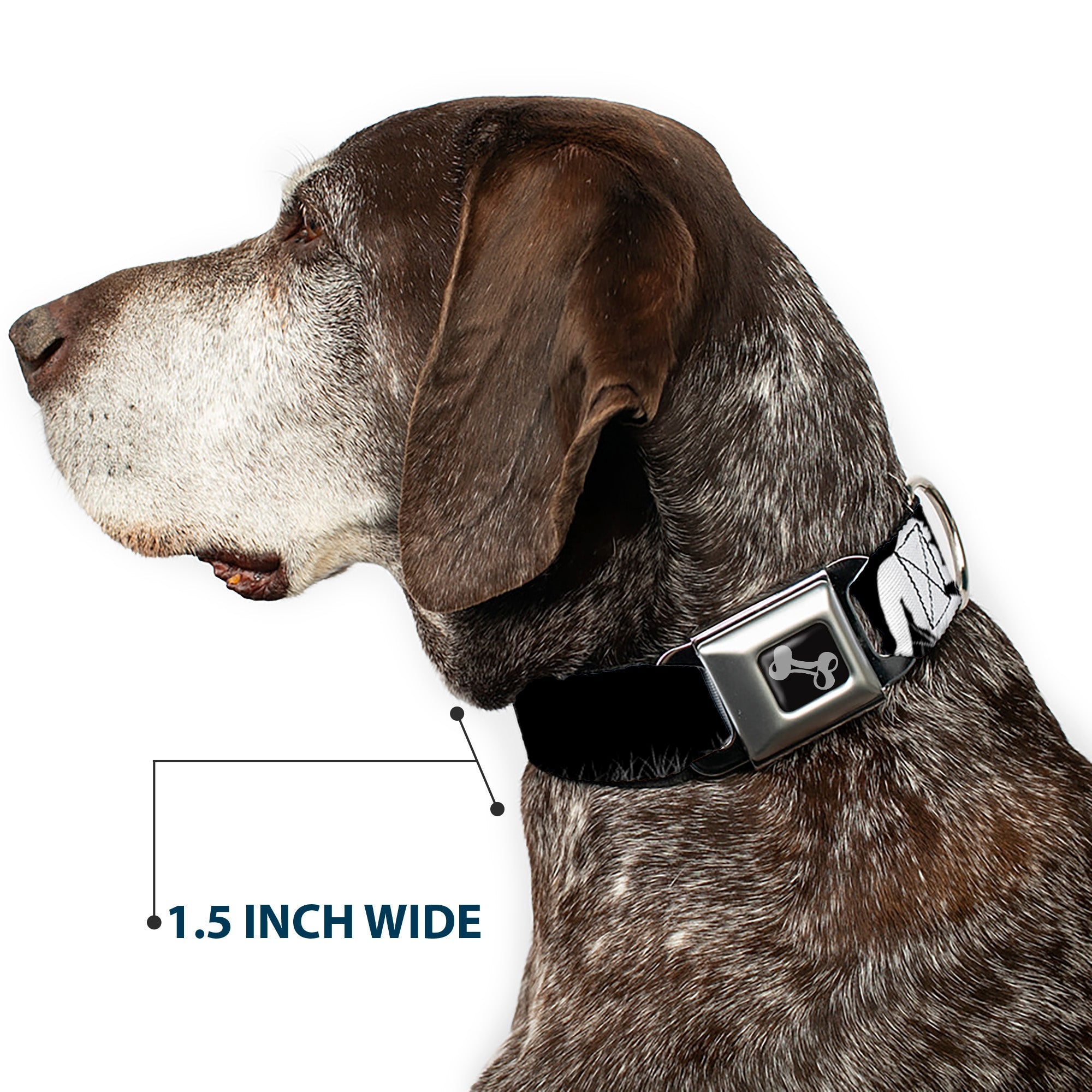 Dog Bone Seatbelt Buckle Collar - Bigfoot Silhouette I BELIEVE Black/Gray/White