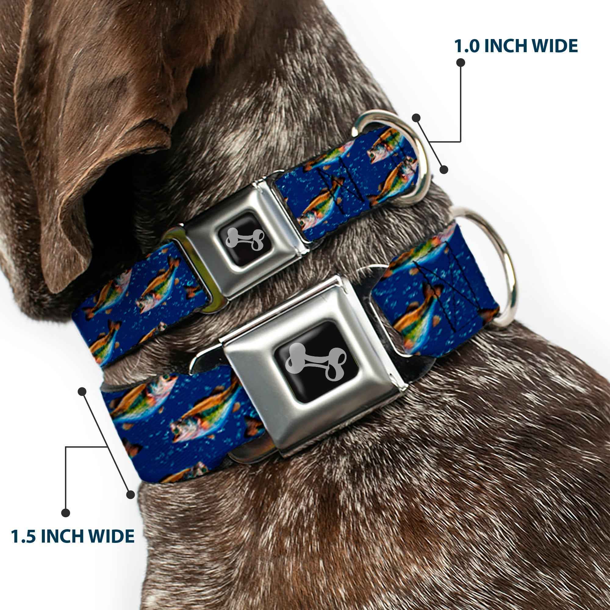 Buckle-Down Bass Fish/Water Bubbles Seatbelt Buckle Dog Collar