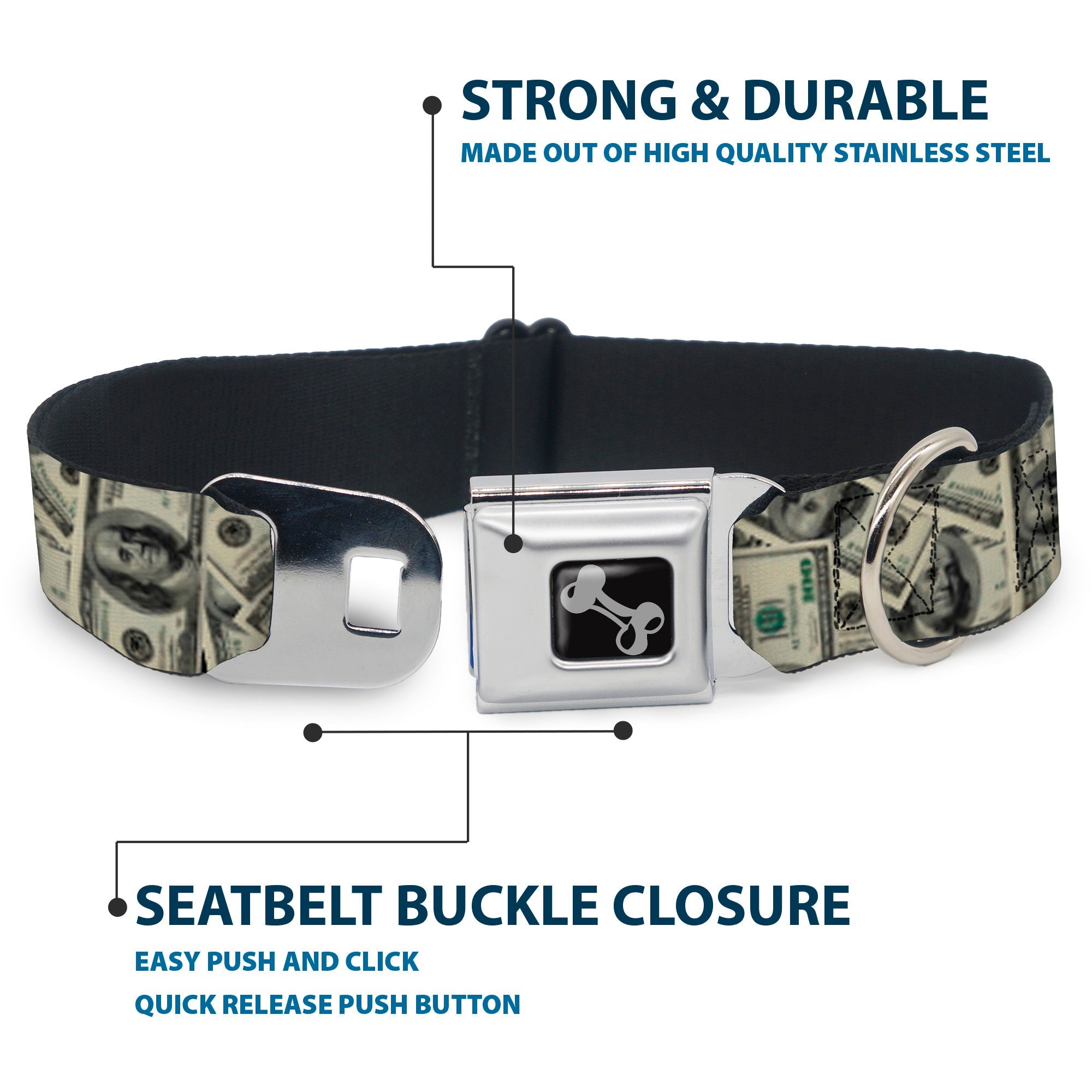 Buckle-Down Benjamins2 Stacked Seatbelt Buckle Dog Collar