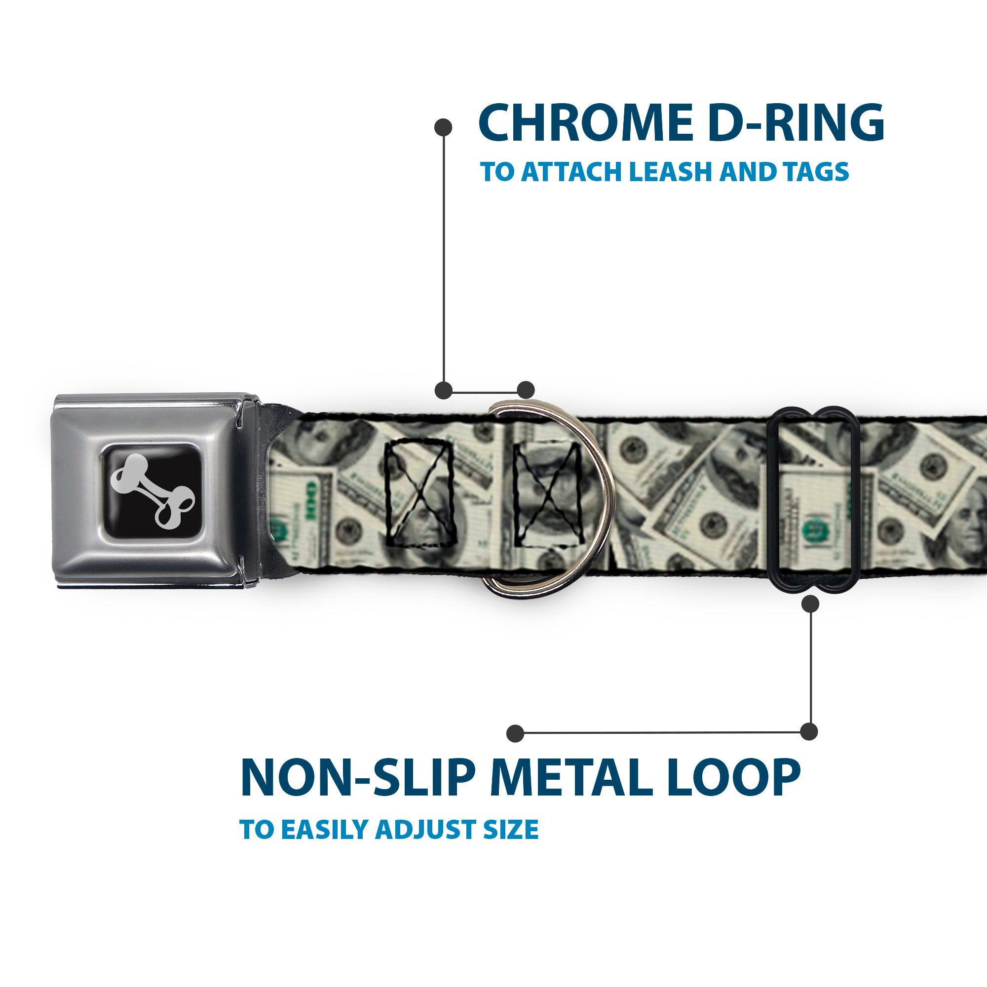 Buckle-Down Benjamins2 Stacked Seatbelt Buckle Dog Collar