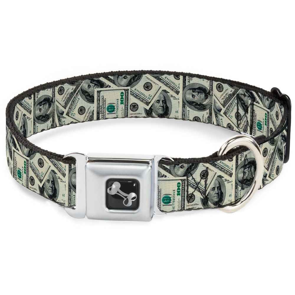 Buckle-Down Benjamins2 Stacked Seatbelt Buckle Dog Collar