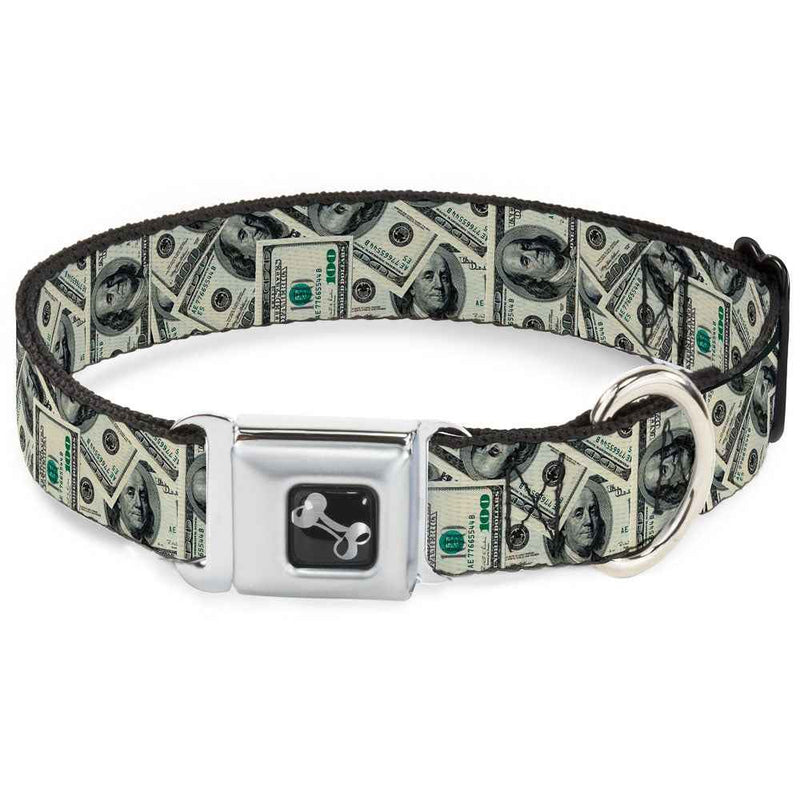 Buckle-Down Benjamins2 Stacked Seatbelt Buckle Dog Collar