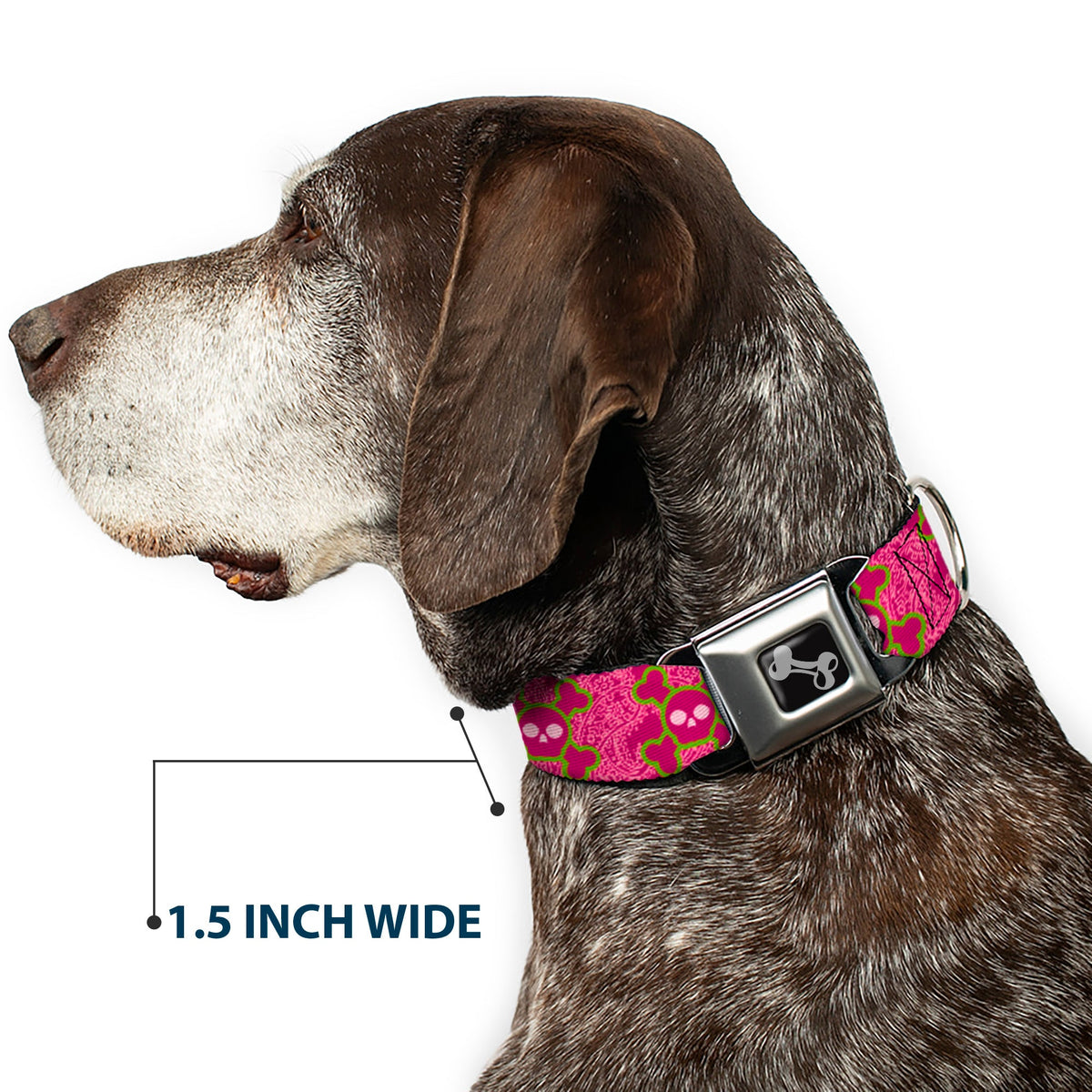 Dog Bone Seatbelt Buckle Collar - Cute Skulls w/Paisley Purple/Pink/Green