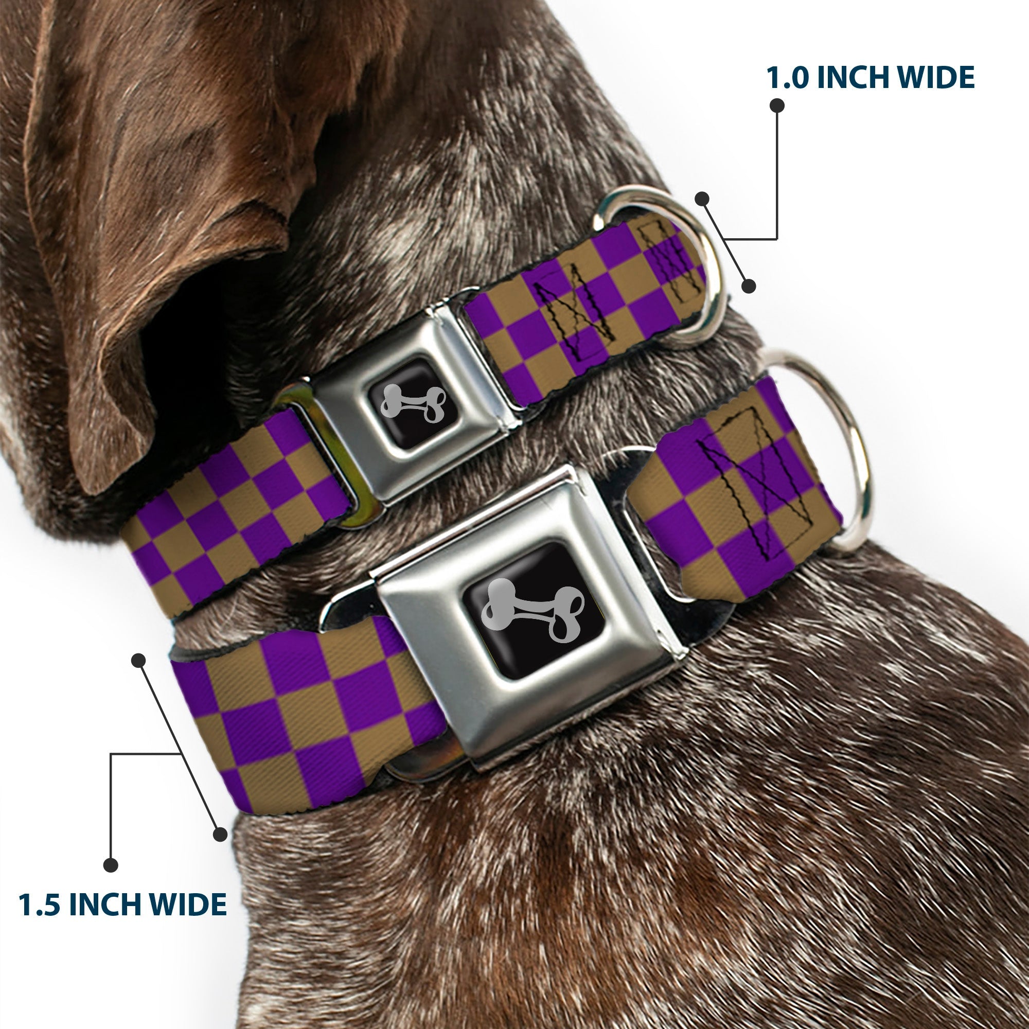 Dog Bone Seatbelt Buckle Collar - Checker Purple/Gold