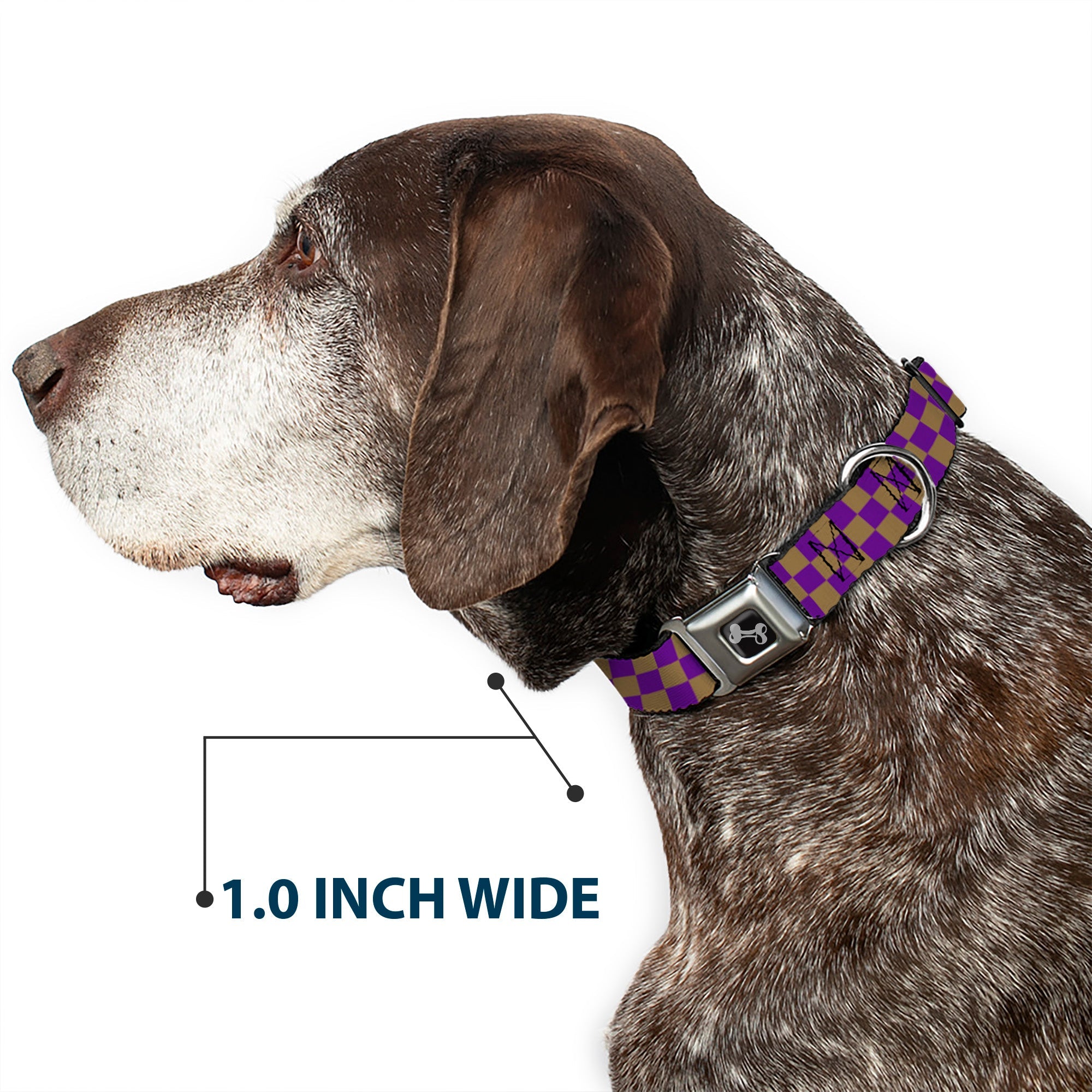 Dog Bone Seatbelt Buckle Collar - Checker Purple/Gold