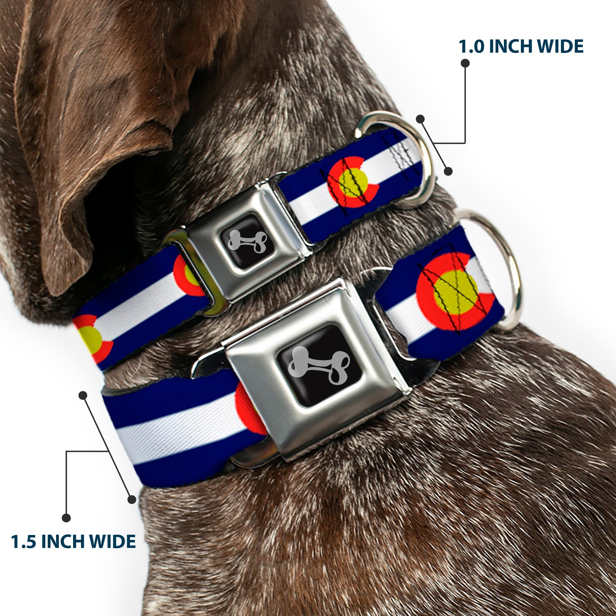 Dog Bone Seatbelt Buckle Collar - Colorado Flags2 Repeat