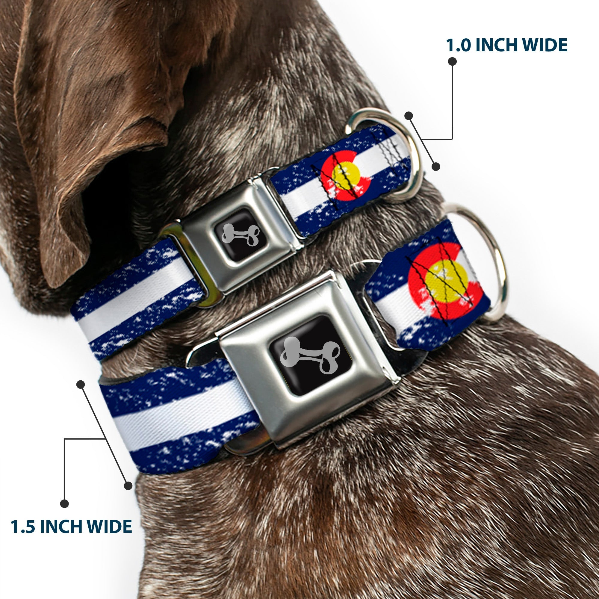 Dog Bone Seatbelt Buckle Collar - Colorado Flags4 Weathered