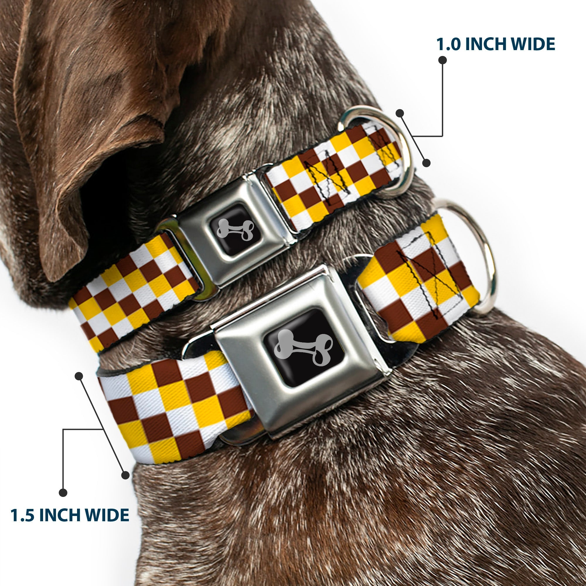 Dog Bone Seatbelt Buckle Collar - Checker White/Gold/Brown