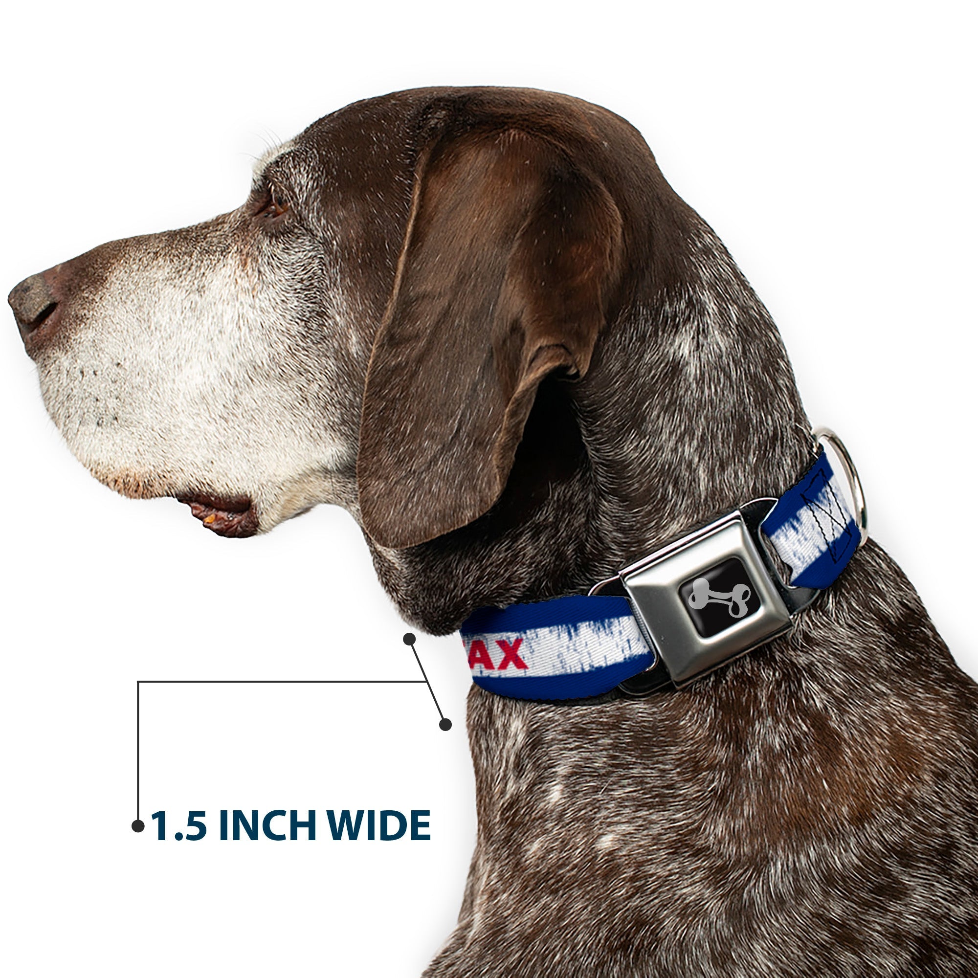 Dog Bone Seatbelt Buckle Collar - COLFAX Colorado Flag Weathered
