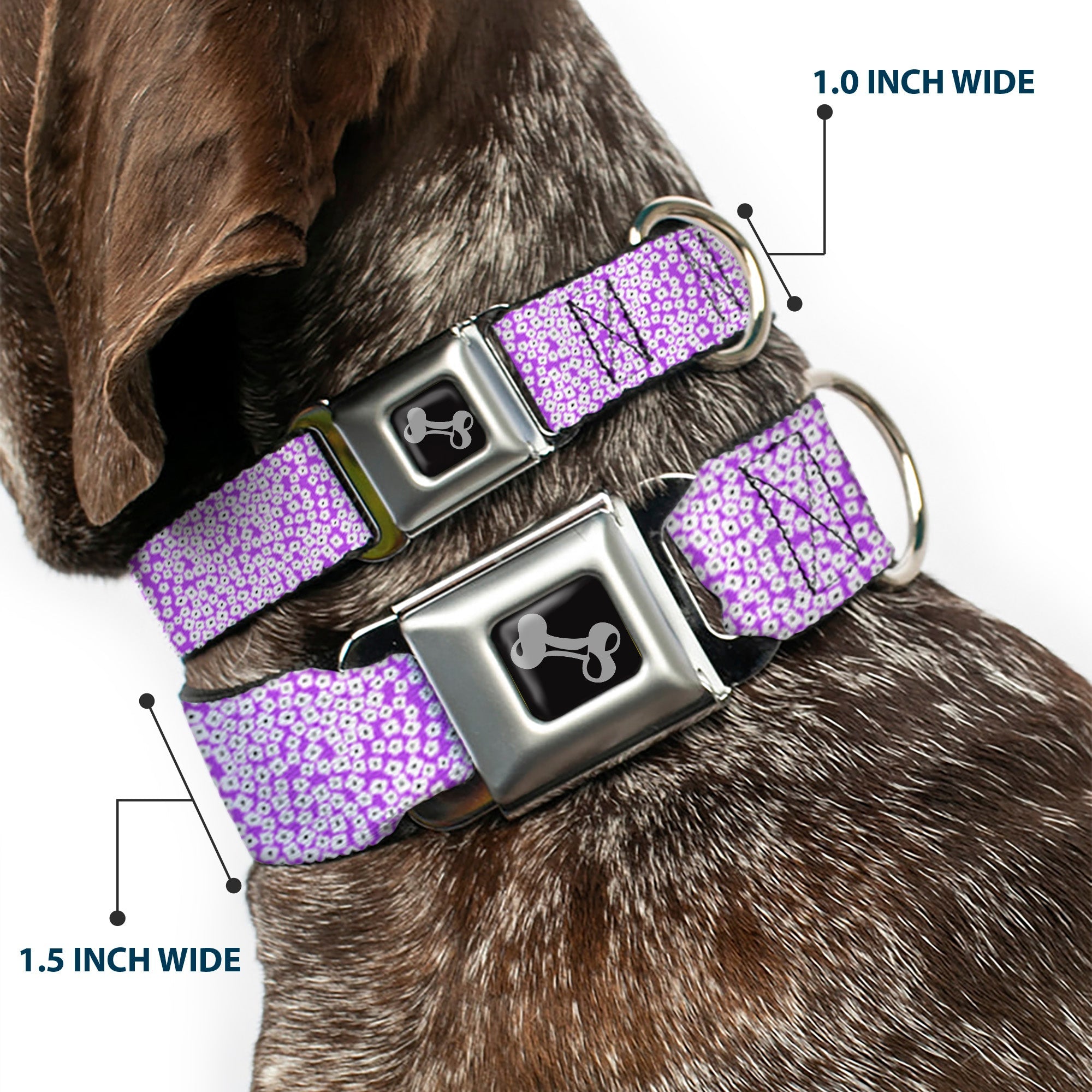 Dog Bone Seatbelt Buckle Collar - Ditsy Floral Lavender/White/Black