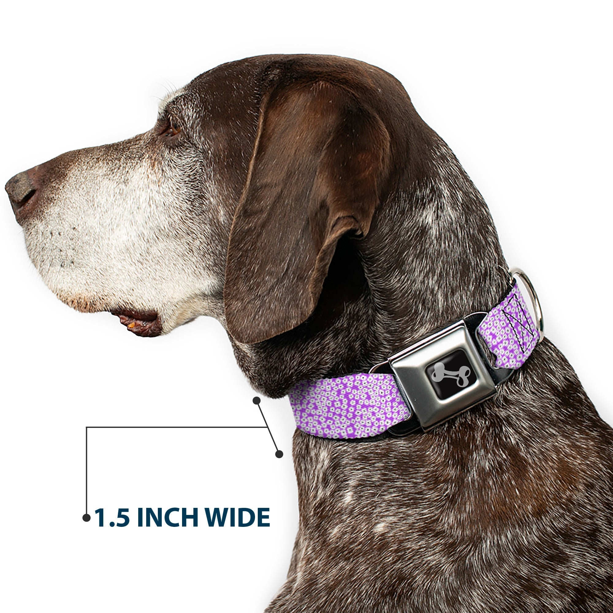 Dog Bone Seatbelt Buckle Collar - Ditsy Floral Lavender/White/Black