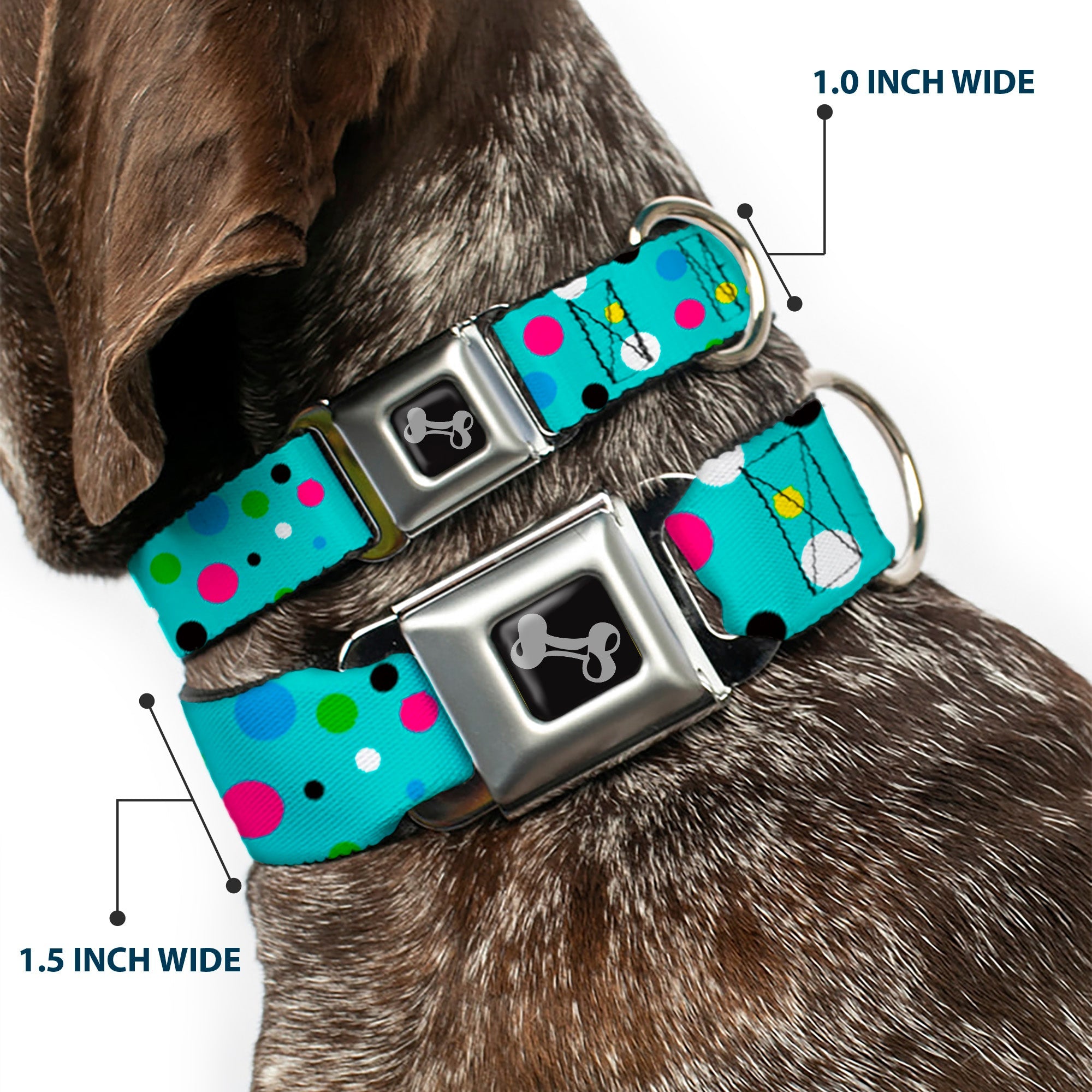 Dog Bone Seatbelt Buckle Collar - Dots Seafoam Green/Multi Pastel