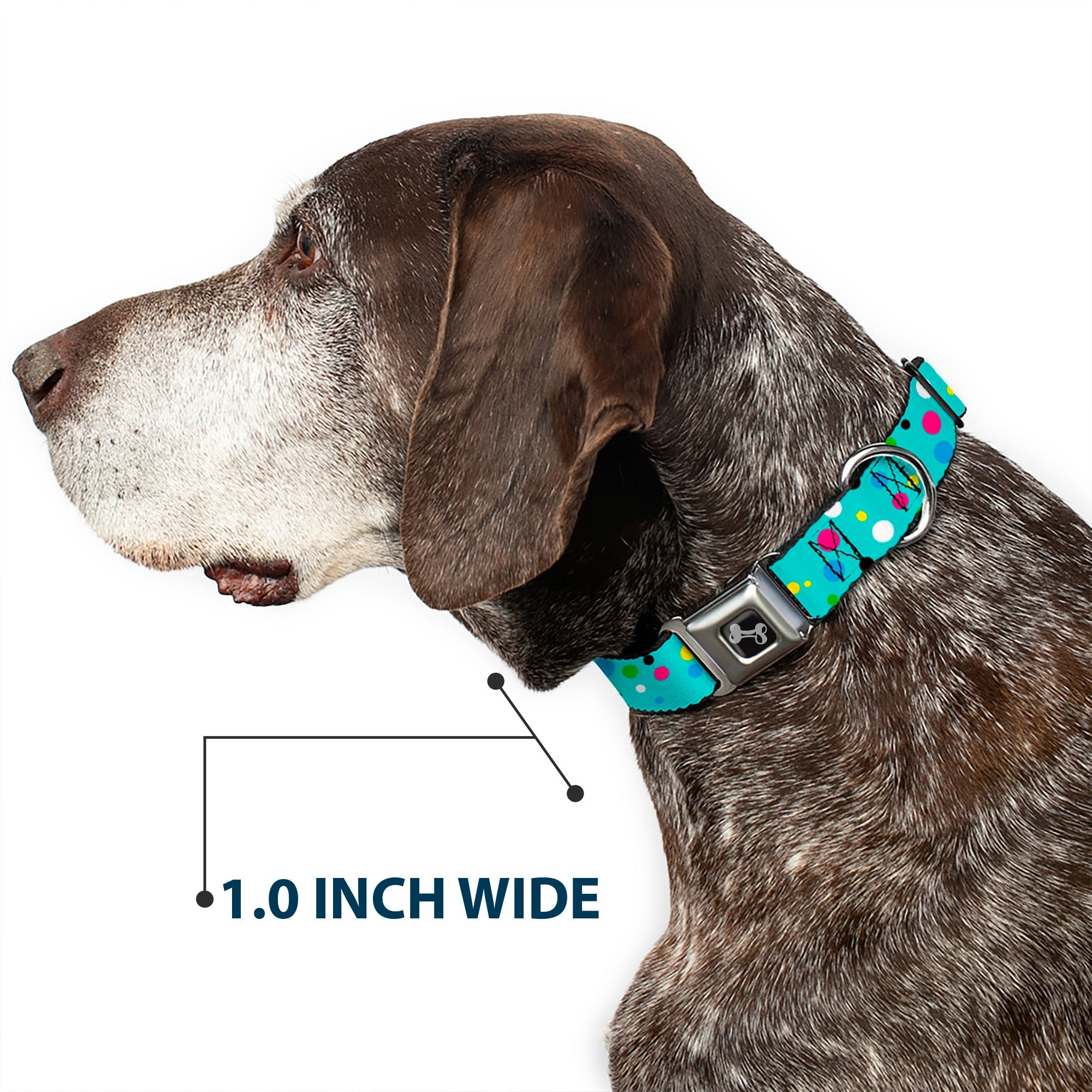 Dog Bone Seatbelt Buckle Collar - Dots Seafoam Green/Multi Pastel