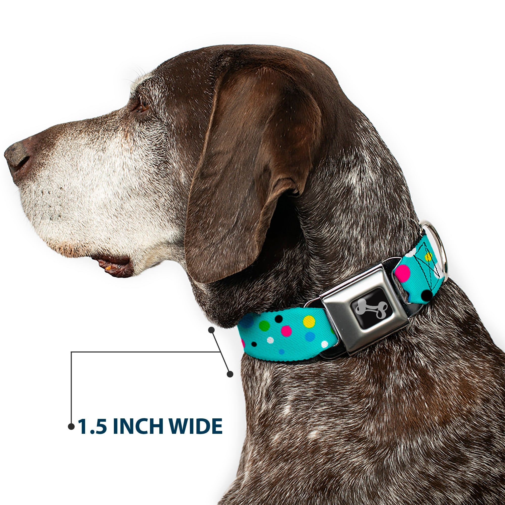 Dog Bone Seatbelt Buckle Collar - Dots Seafoam Green/Multi Pastel