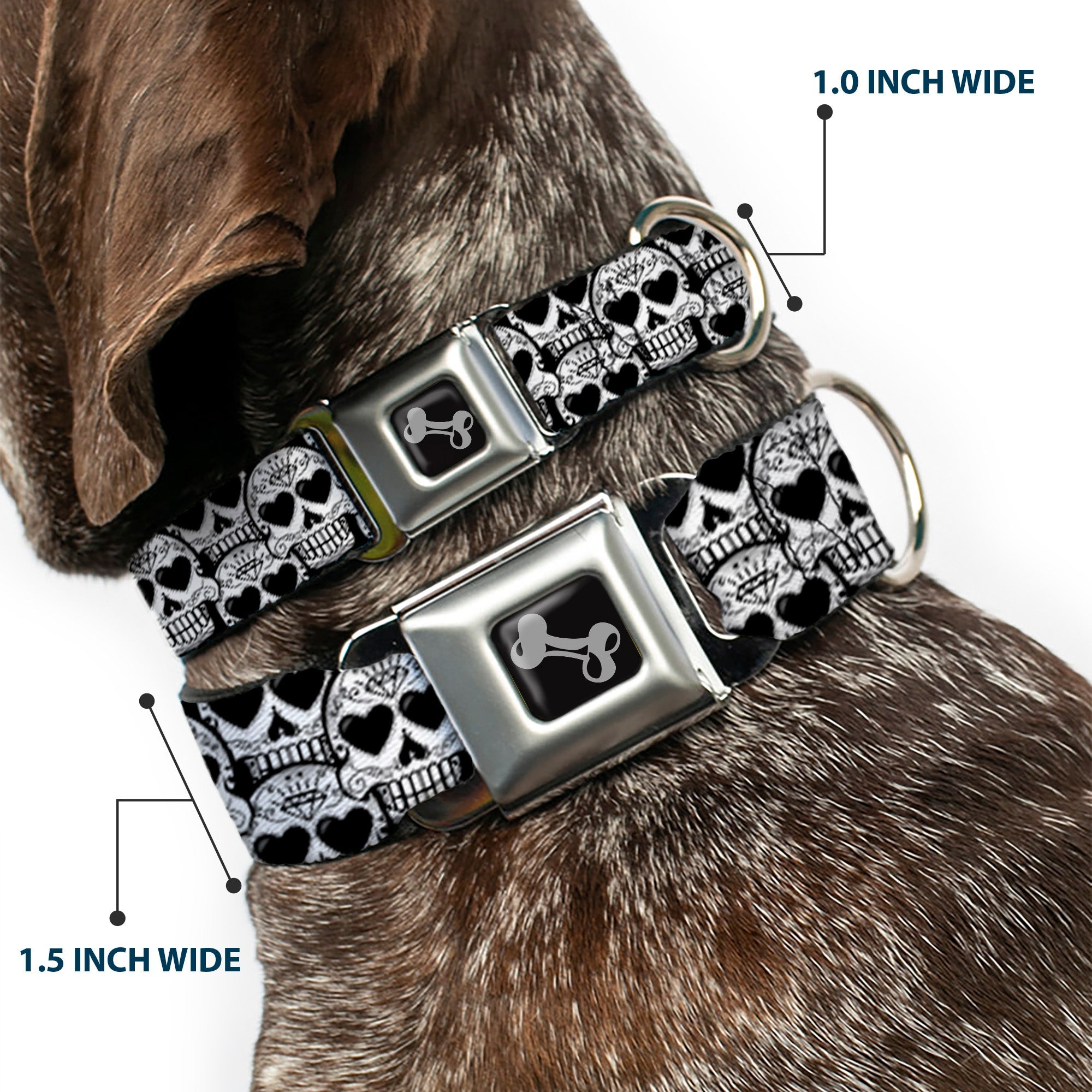 Dog Bone Seatbelt Buckle Collar - Diamond Sugar Skull Stacked Black/Silver Fade/White