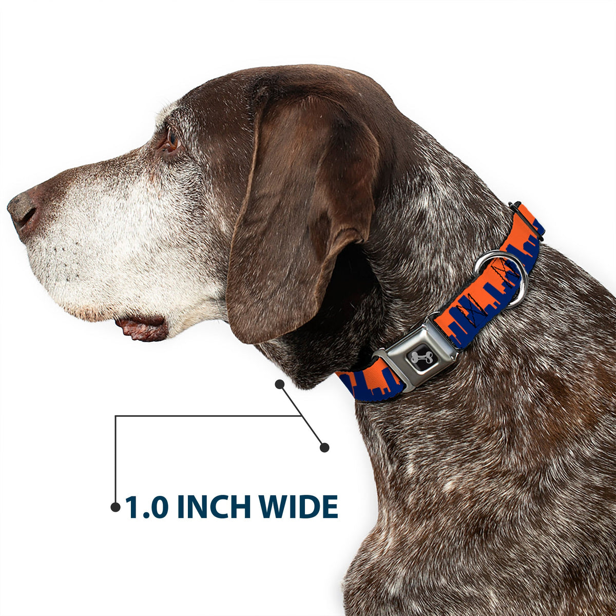 Dog Bone Seatbelt Buckle Collar - Denver Solid Skyline Orange/Navy