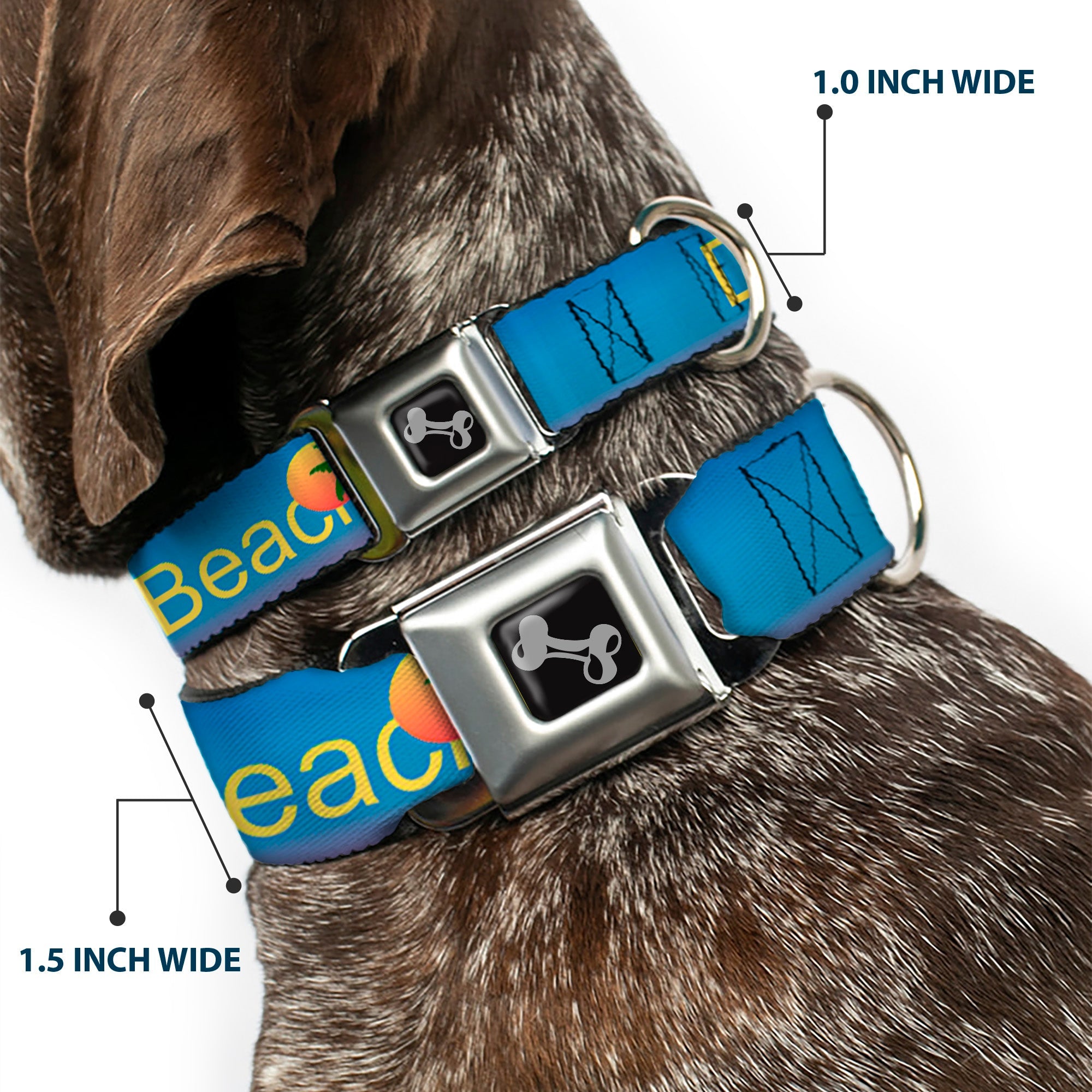 Dog Bone Seatbelt Buckle Collar - DAYTON BEACH Script/Sun/Palm Trees Blue Fade/Yellow/Oranges/Green