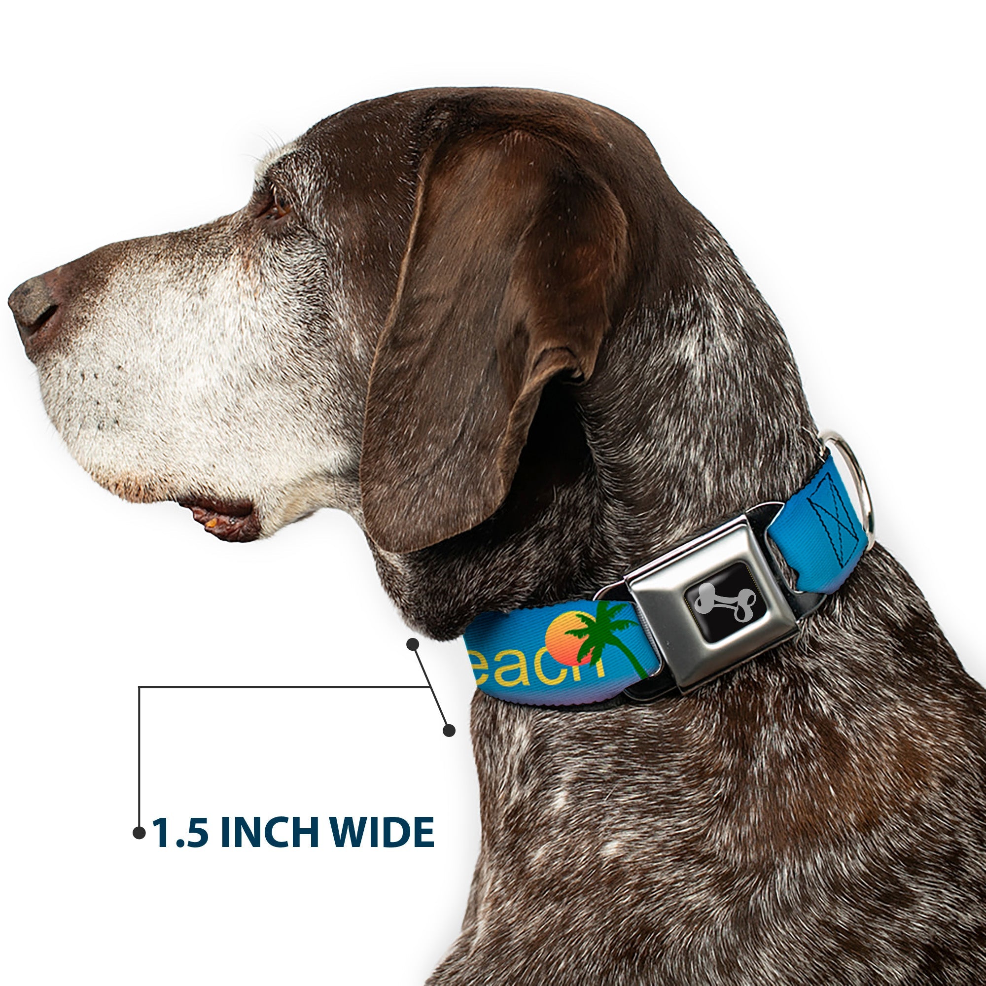 Dog Bone Seatbelt Buckle Collar - DAYTON BEACH Script/Sun/Palm Trees Blue Fade/Yellow/Oranges/Green