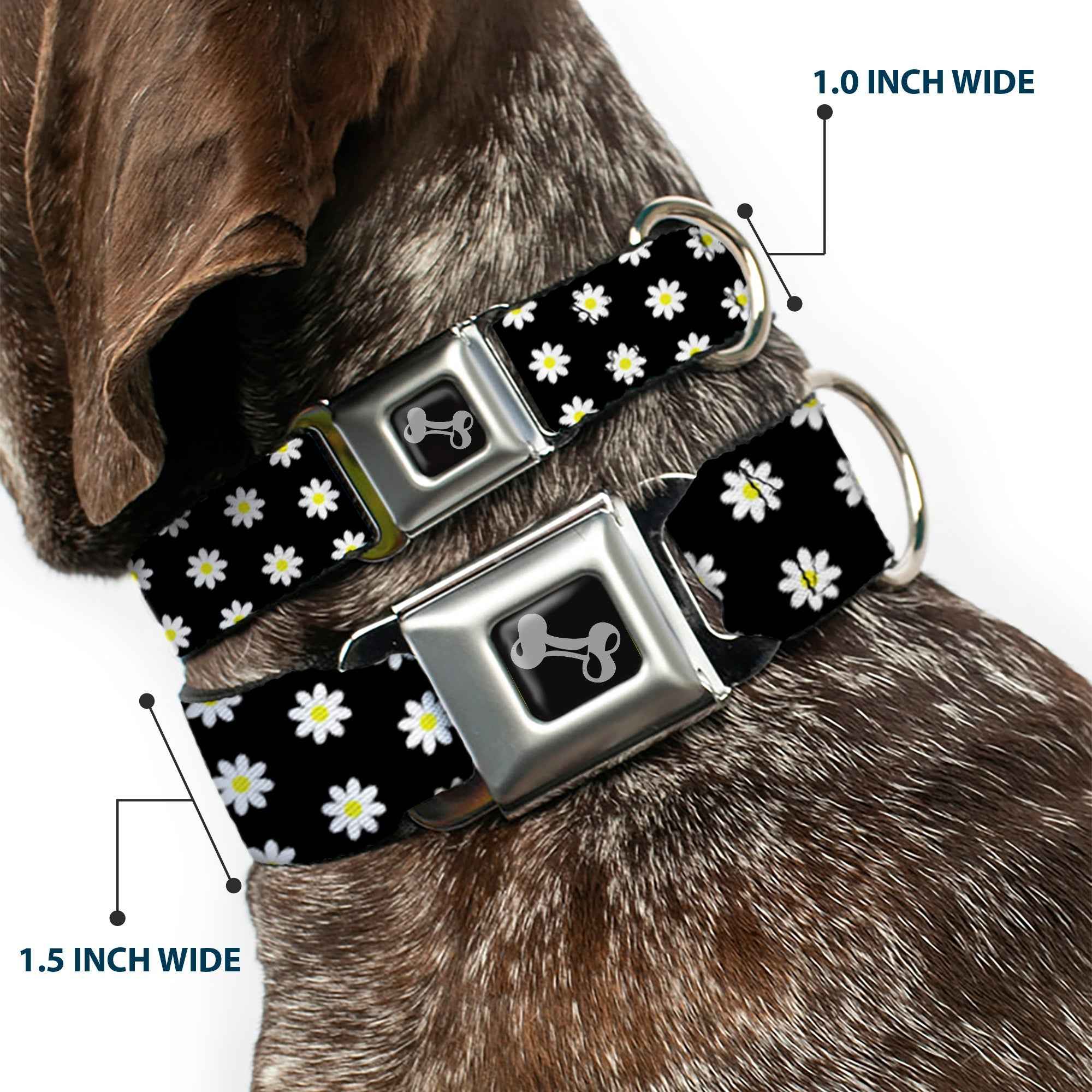 Buckle-Down Dog Bone Black/Silver Seatbelt Buckle Dog Collar - Daisies Scattered Black/White/Yellow