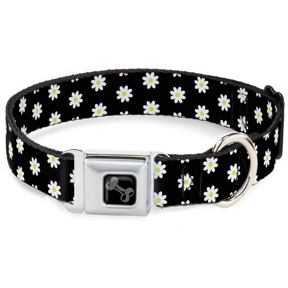 Buckle-Down Dog Bone Black/Silver Seatbelt Buckle Dog Collar - Daisies Scattered Black/White/Yellow
