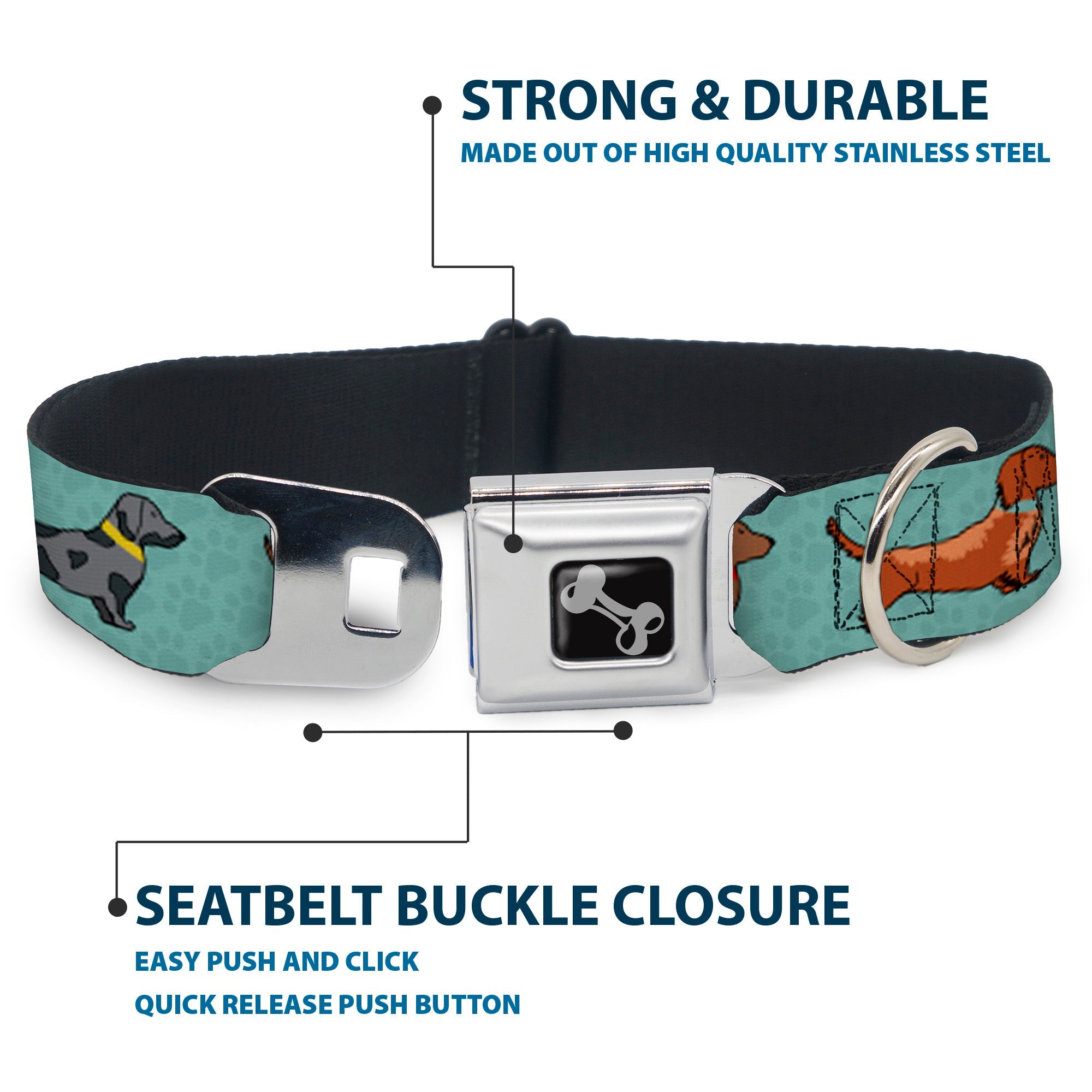 Buckle-Down Dachshund 4-Dogs/Paws Aquas Seatbelt Buckle Dog Collar