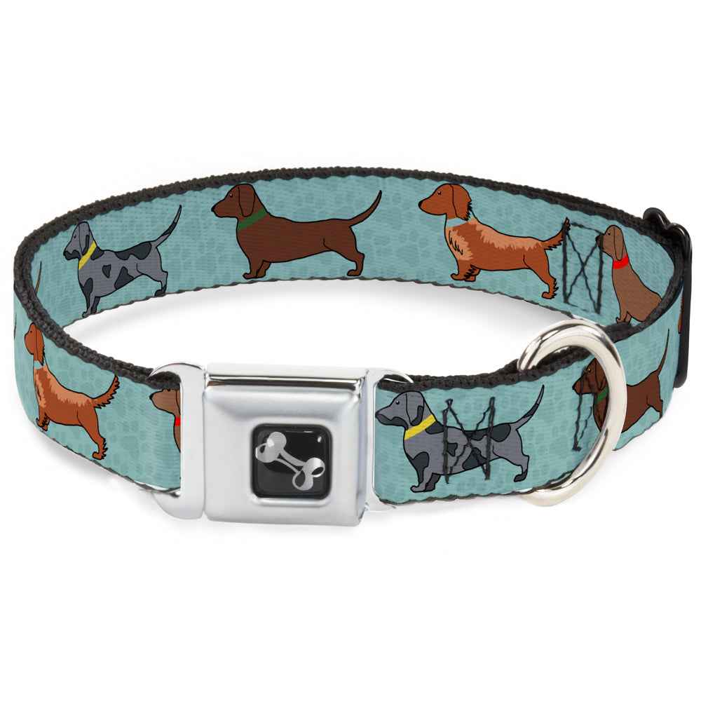 Buckle-Down Dachshund 4-Dogs/Paws Aquas Seatbelt Buckle Dog Collar