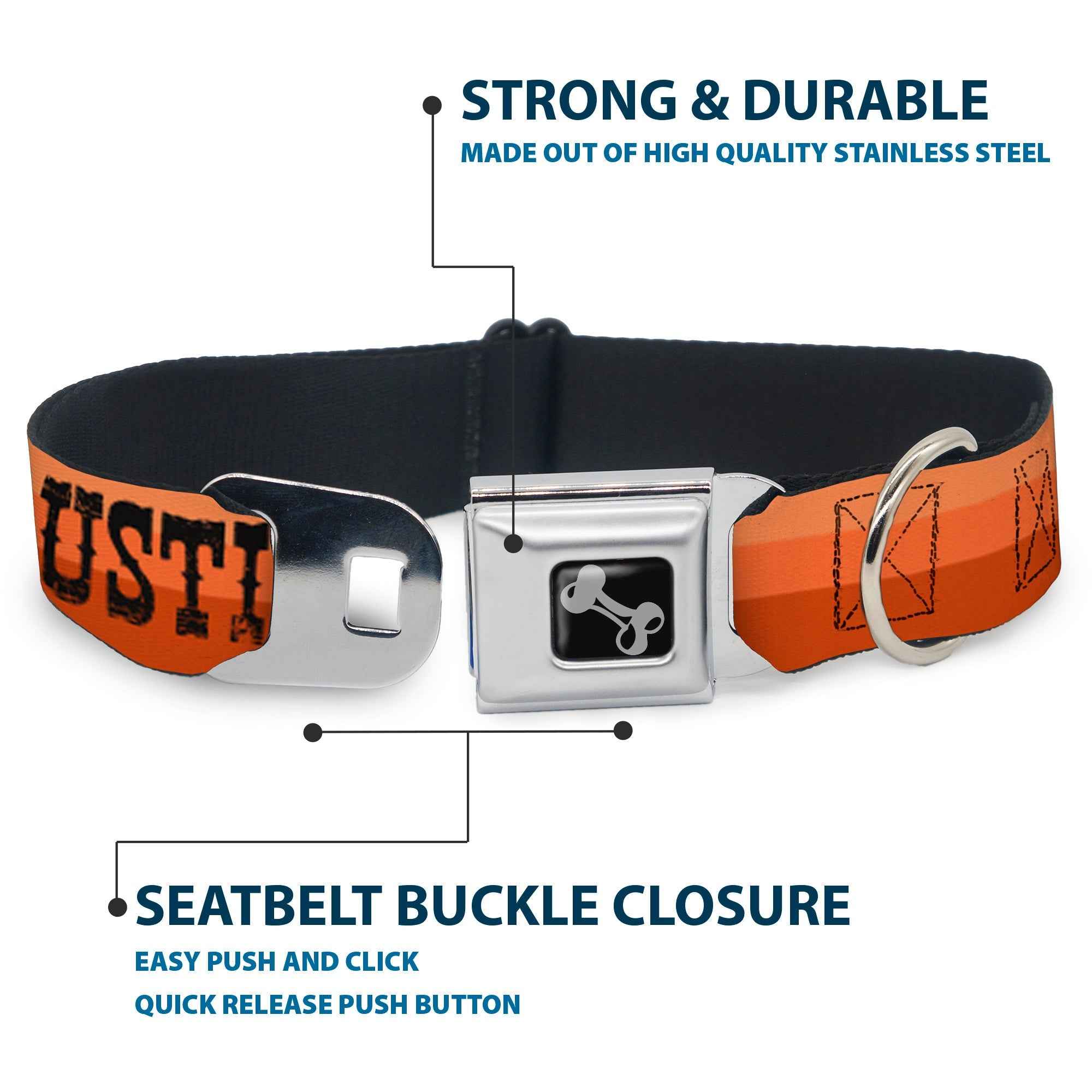 Buckle-Down Dog Bone Black/Silver Seatbelt Buckle Dog Collar - Dallas-Raleigh-Tennessee-Austin-Boston Stripes Browns/Black