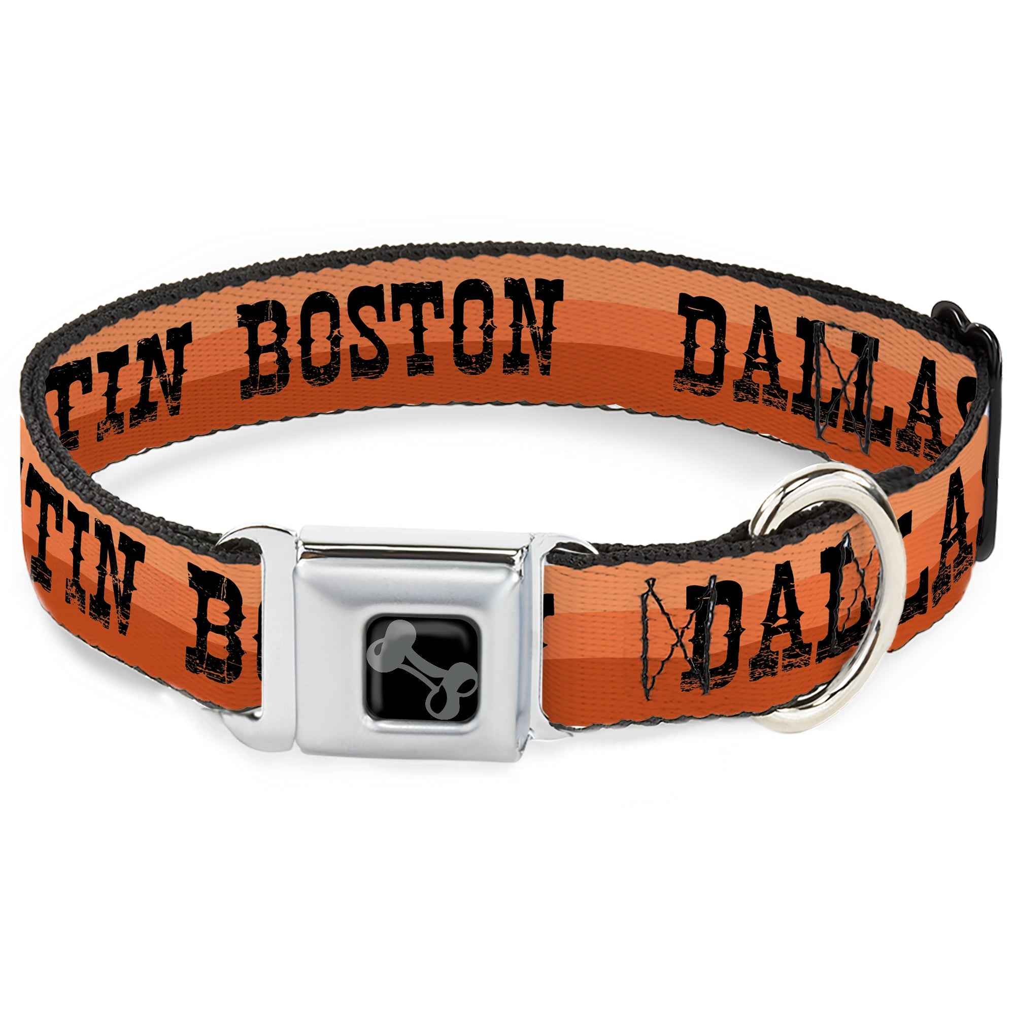 Buckle-Down Dog Bone Black/Silver Seatbelt Buckle Dog Collar - Dallas-Raleigh-Tennessee-Austin-Boston Stripes Browns/Black