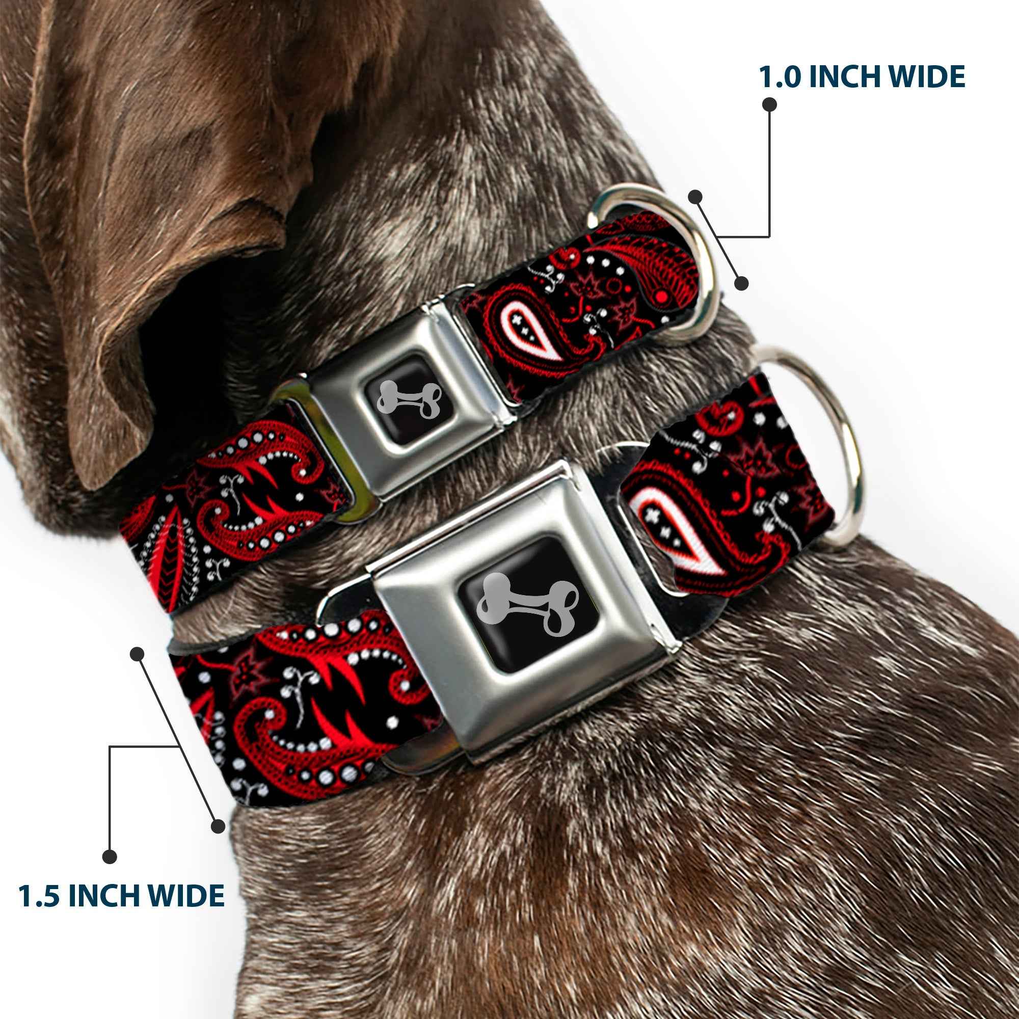 Buckle-Down Floral Paisley3 Black/Red/Gray/White Seatbelt Buckle Dog Collar