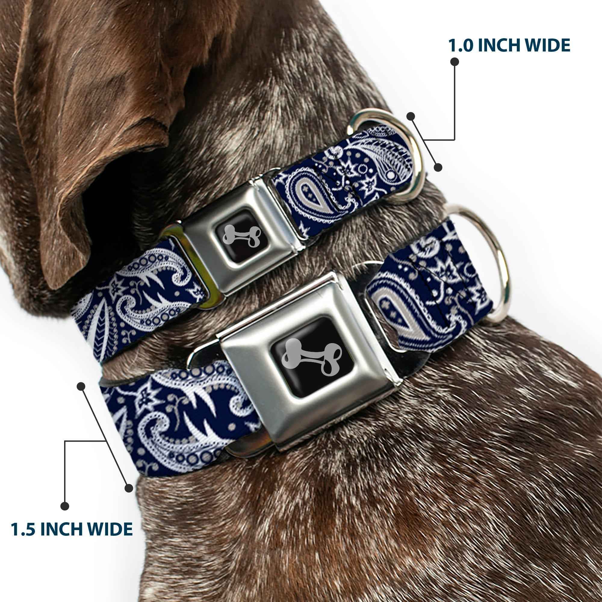 Buckle-Down Floral Paisley3 Blue/White/Gray Seatbelt Buckle Dog Collar