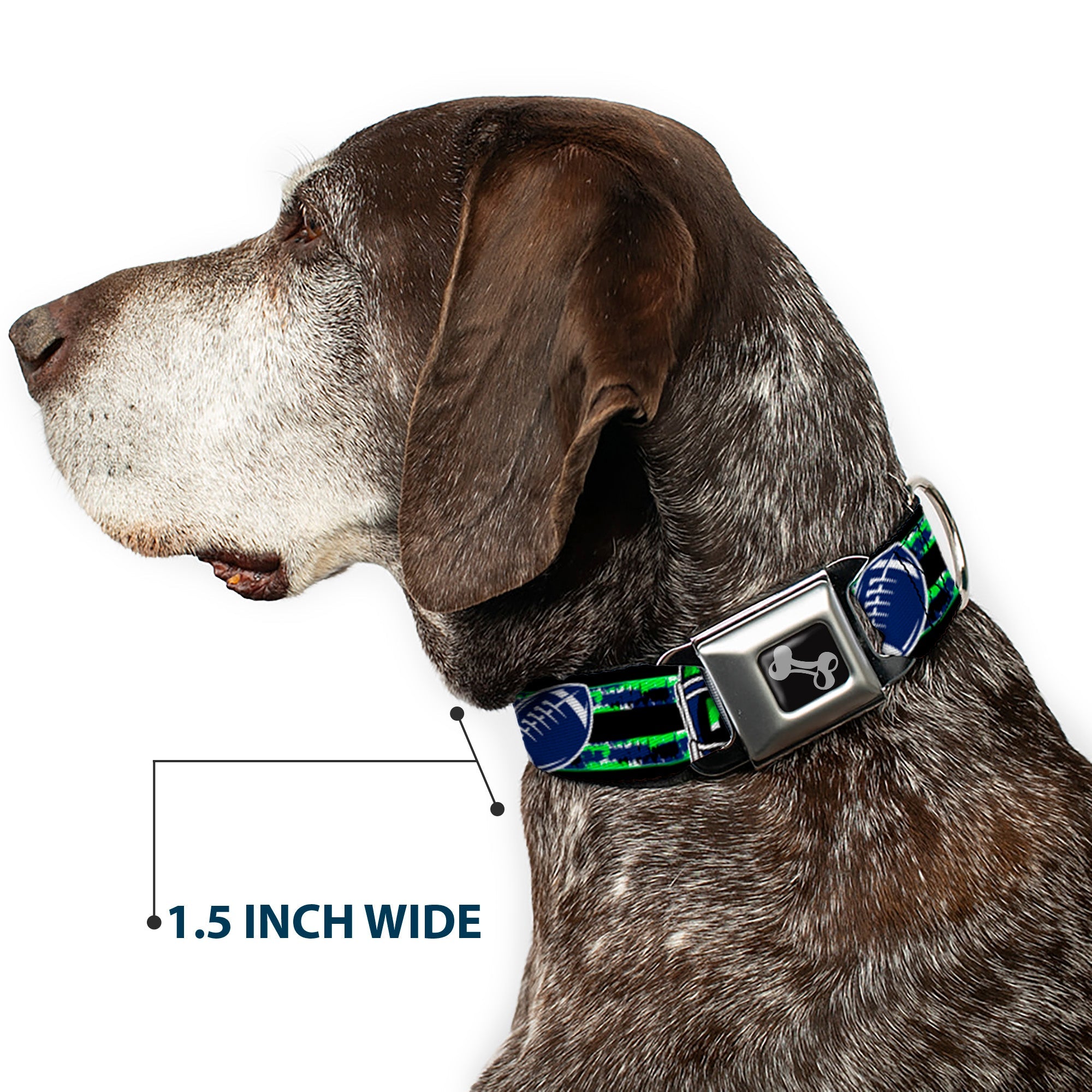 Buckle-Down Dog Bone Black/Silver Seatbelt Buckle Dog Collar - Football/Helmet Stripe Black/Neon Green/Blue