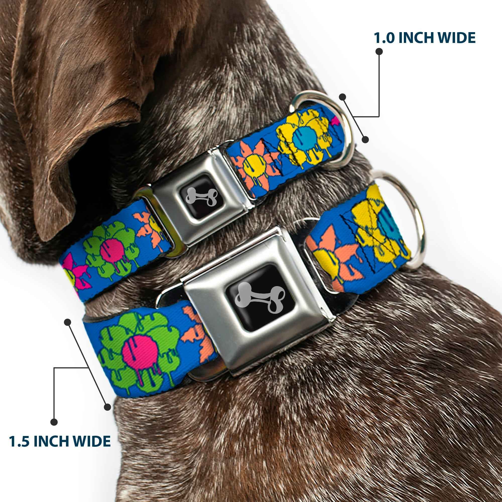 Buckle-Down Dog Bone Black/Silver Seatbelt Buckle Dog Collar - Funky Flower Drip Blue/Multicolor