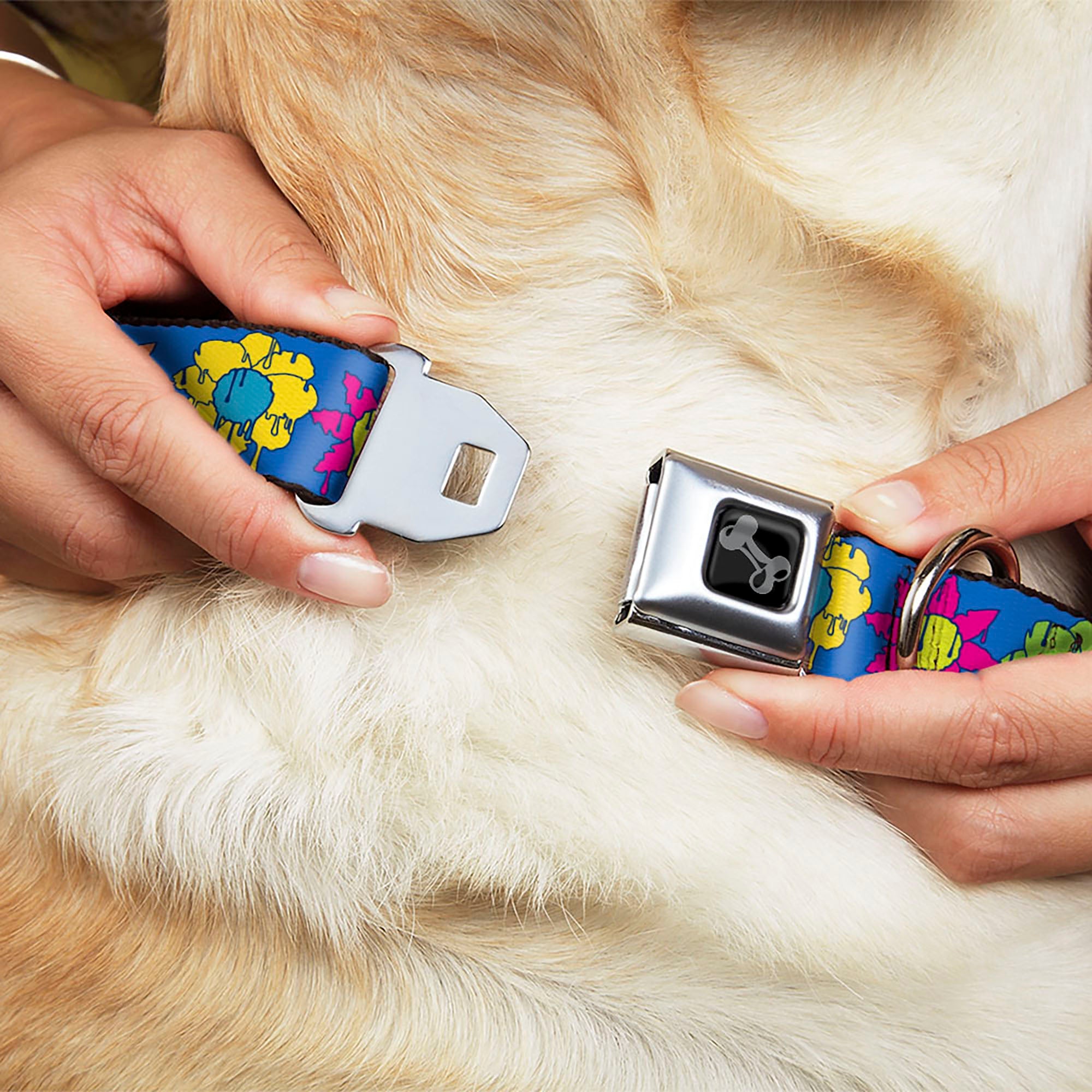 Buckle-Down Dog Bone Black/Silver Seatbelt Buckle Dog Collar - Funky Flower Drip Blue/Multicolor
