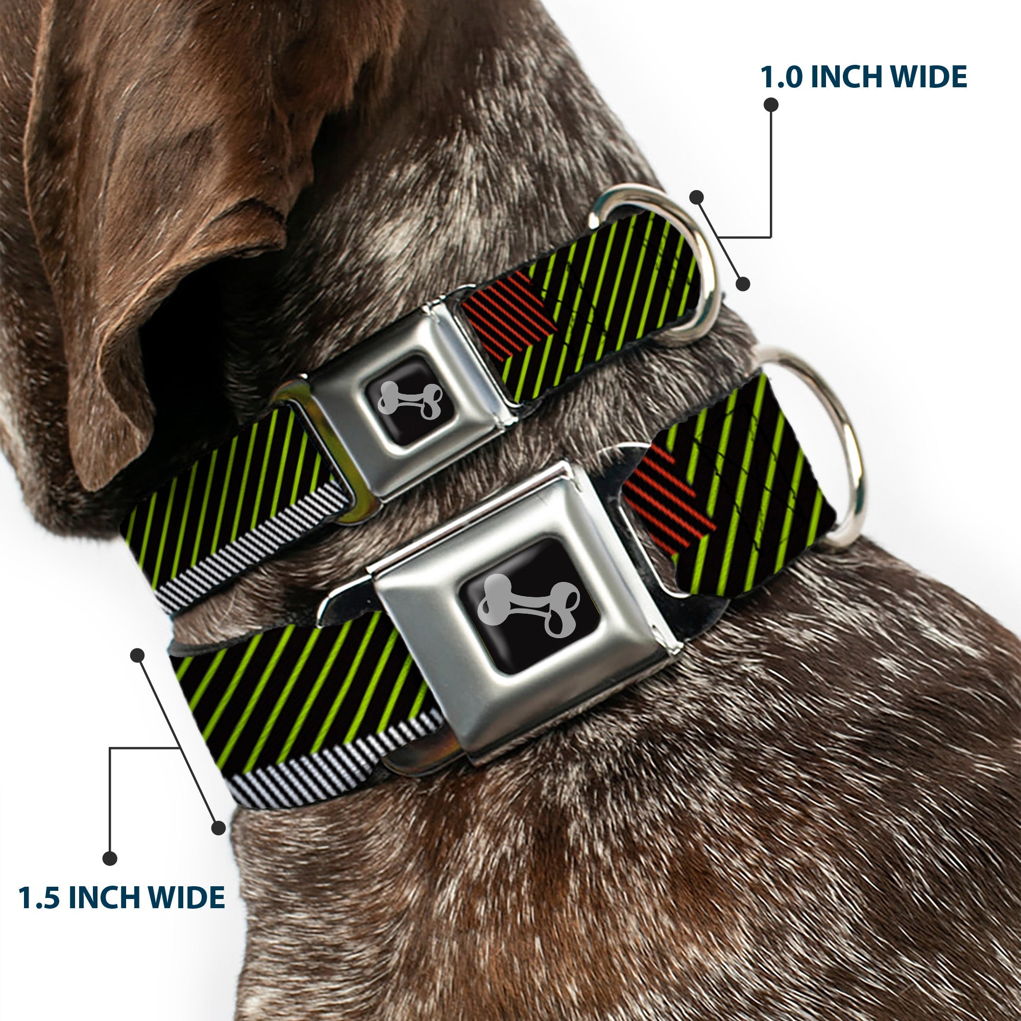 Dog Bone Seatbelt Buckle Collar - Hash Mark Stripe Black/Multi Color