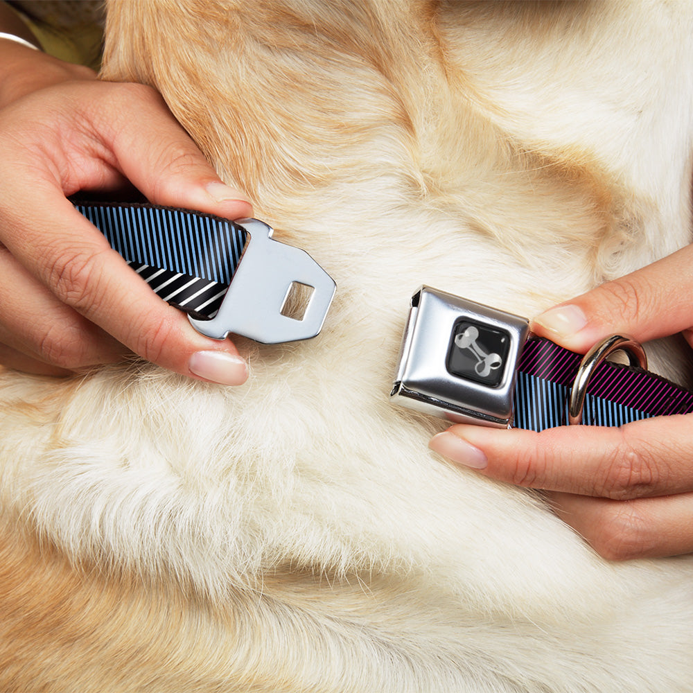 Dog Bone Seatbelt Buckle Collar - Hash Mark Stripe Black/Multi Color