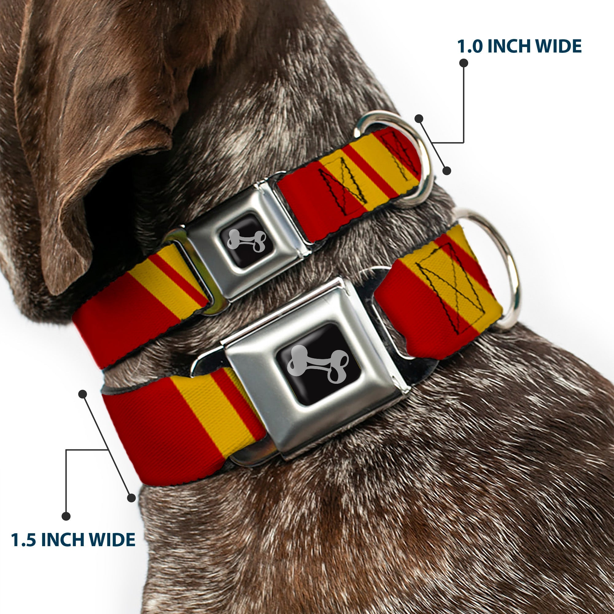 Dog Bone Seatbelt Buckle Collar - Hash Mark Stripe Double Maroon/Gold