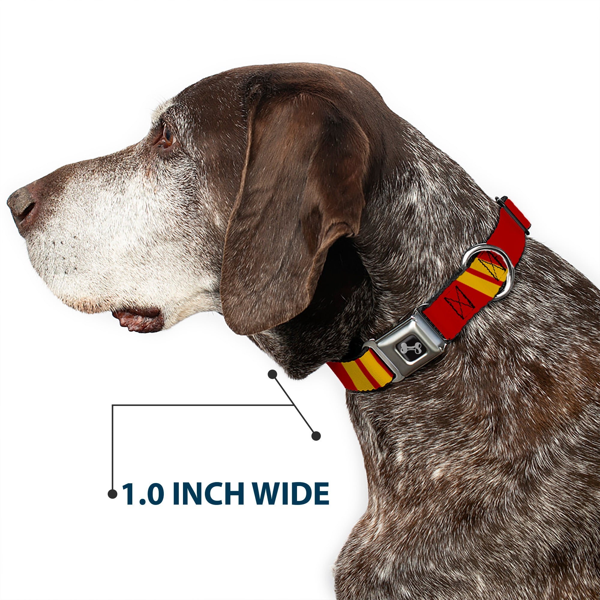 Dog Bone Seatbelt Buckle Collar - Hash Mark Stripe Double Maroon/Gold