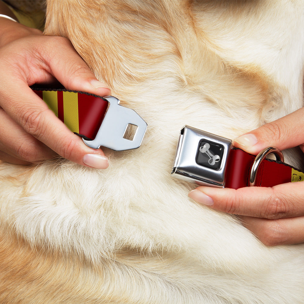 Dog Bone Seatbelt Buckle Collar - Hash Mark Stripe Double Maroon/Gold