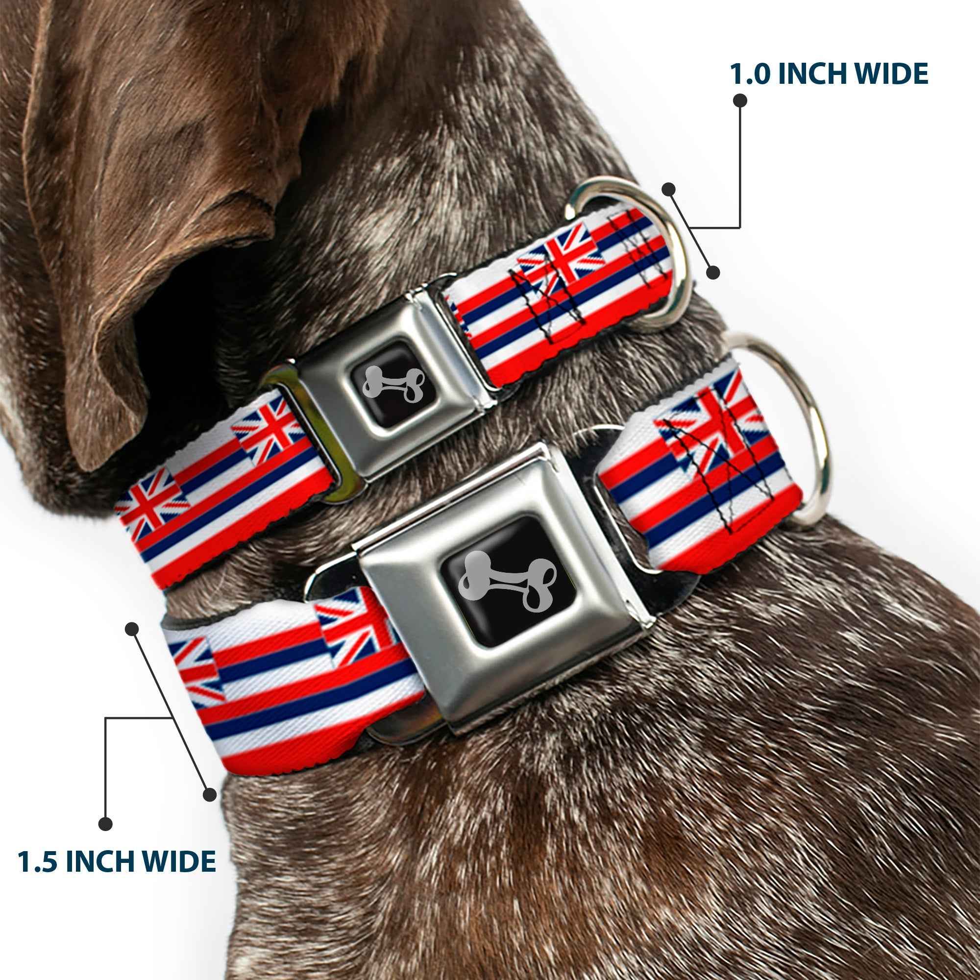 Buckle-Down Dog Bone Black/Silver Seatbelt Buckle Dog Collar - Hawaii Flag Continuous Repeat