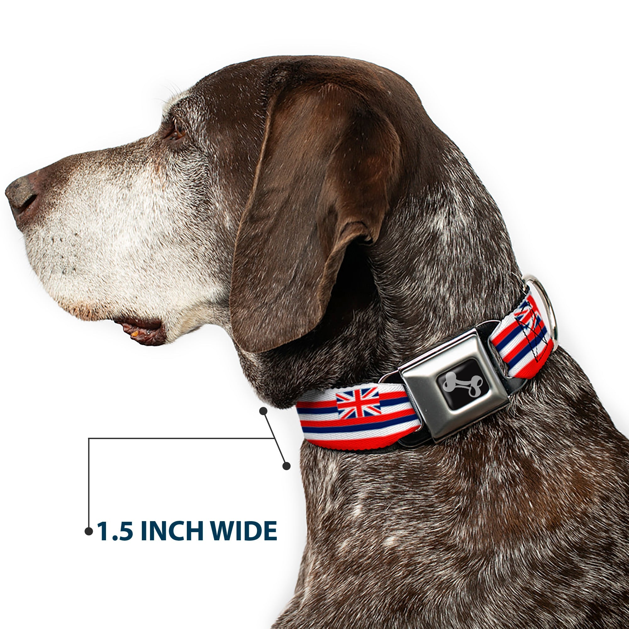 Buckle-Down Dog Bone Black/Silver Seatbelt Buckle Dog Collar - Hawaii Flag Continuous Repeat
