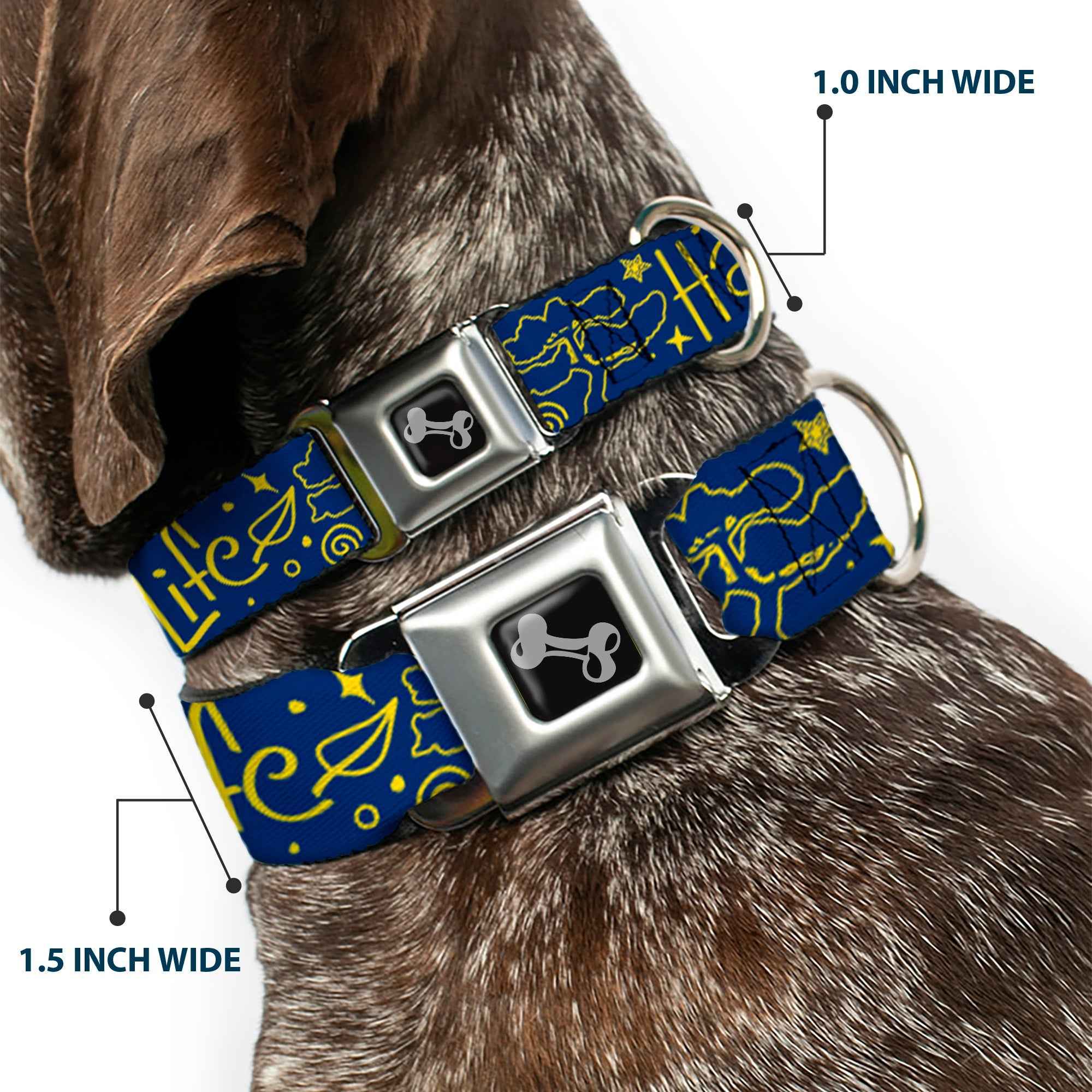 Buckle-Down Dog Bone Black/Silver Seatbelt Buckle Dog Collar - Harmony Balance Life Icons Collage Blue/Yellow