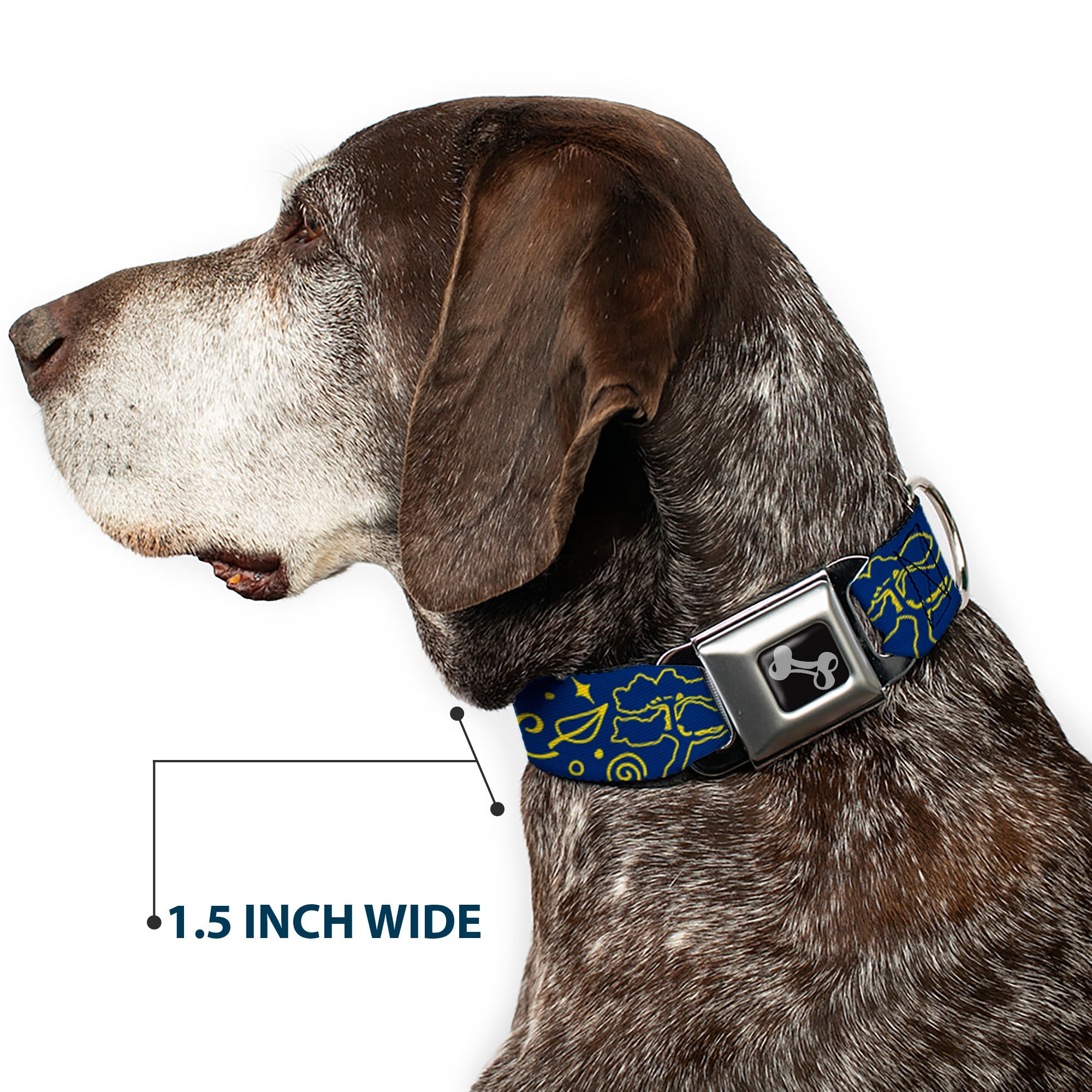 Buckle-Down Dog Bone Black/Silver Seatbelt Buckle Dog Collar - Harmony Balance Life Icons Collage Blue/Yellow