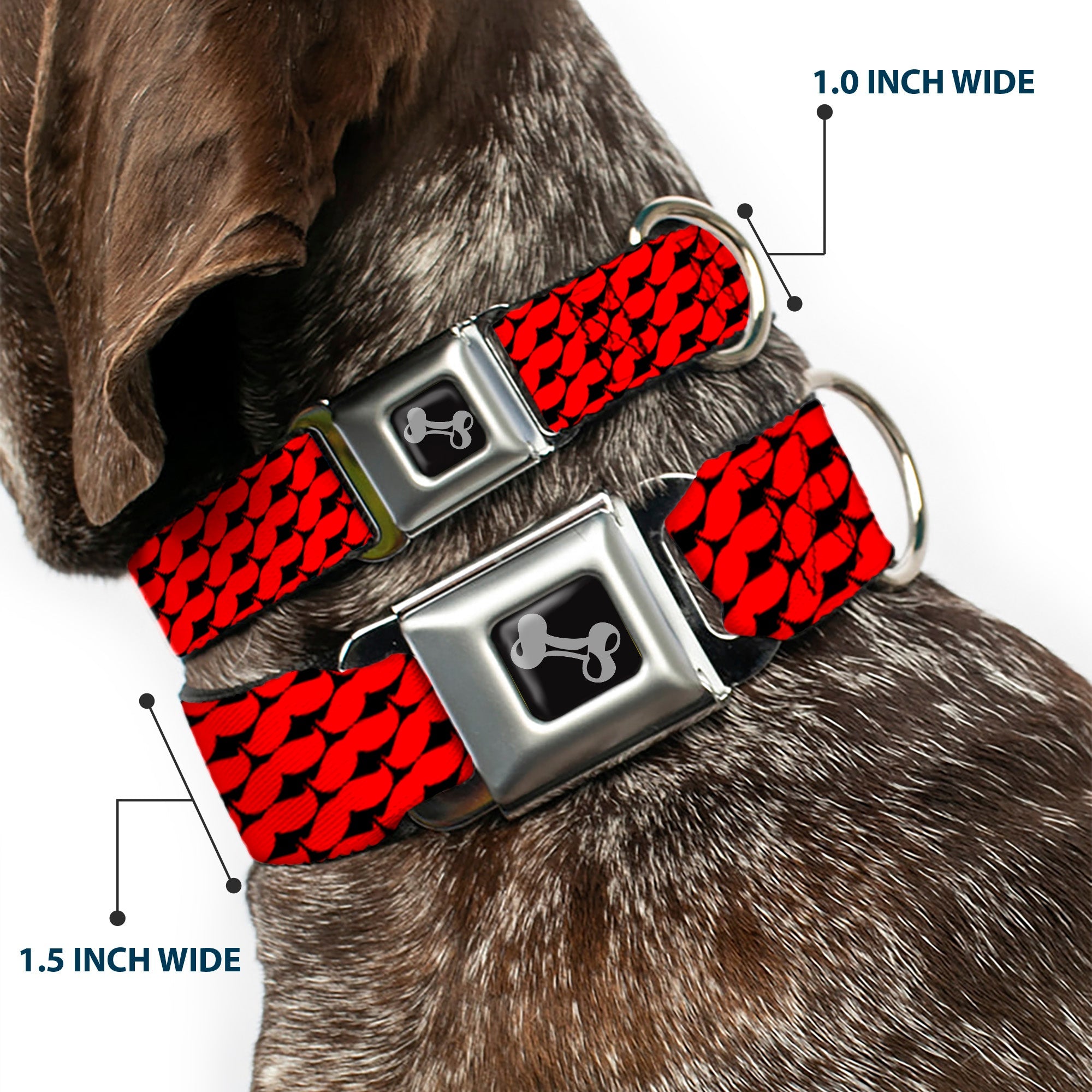 Dog Bone Seatbelt Buckle Collar - Mustache Monogram Black/Red